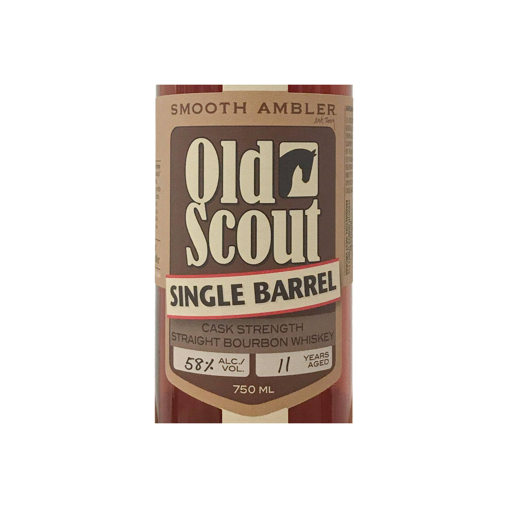 Smooth Ambler 11-year-old 2