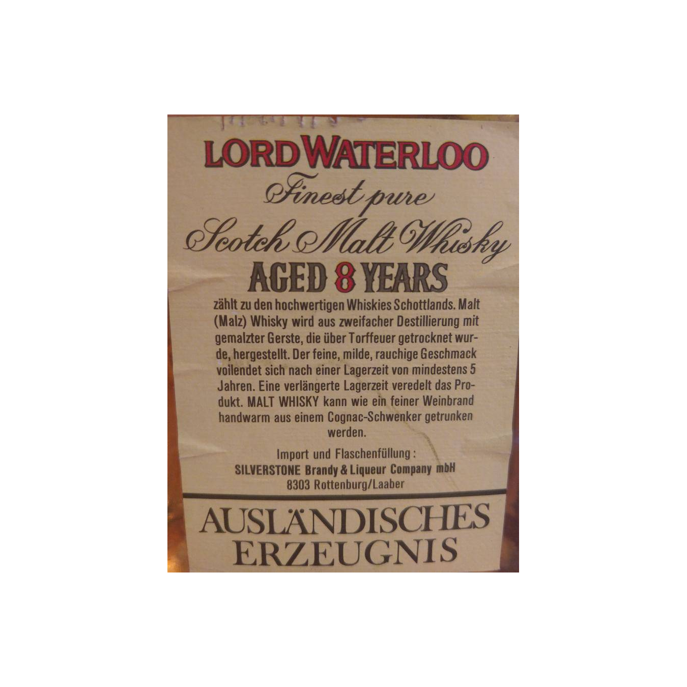 Lord Waterloo 08-year-old 3