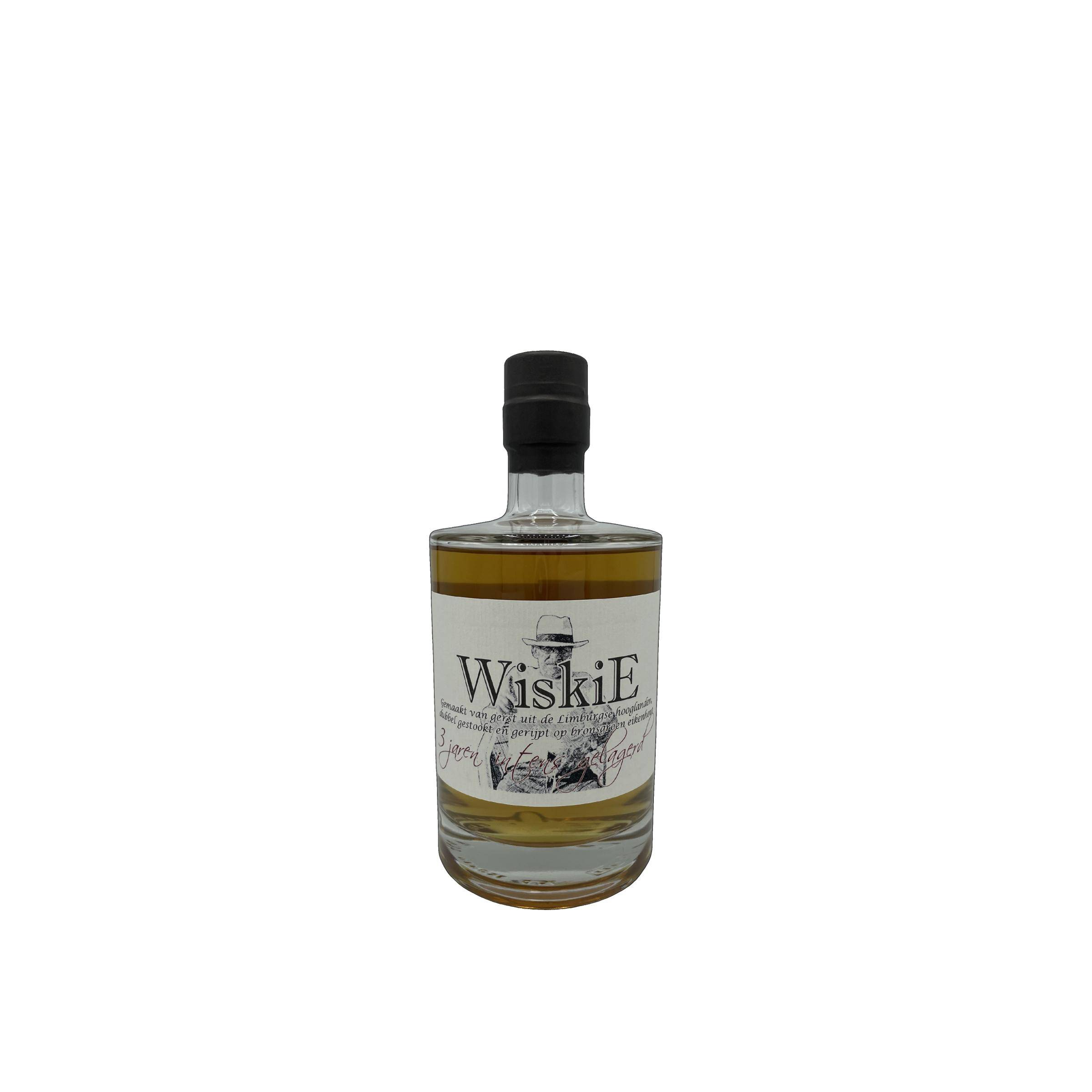 Gerlachus WiskiE 2017