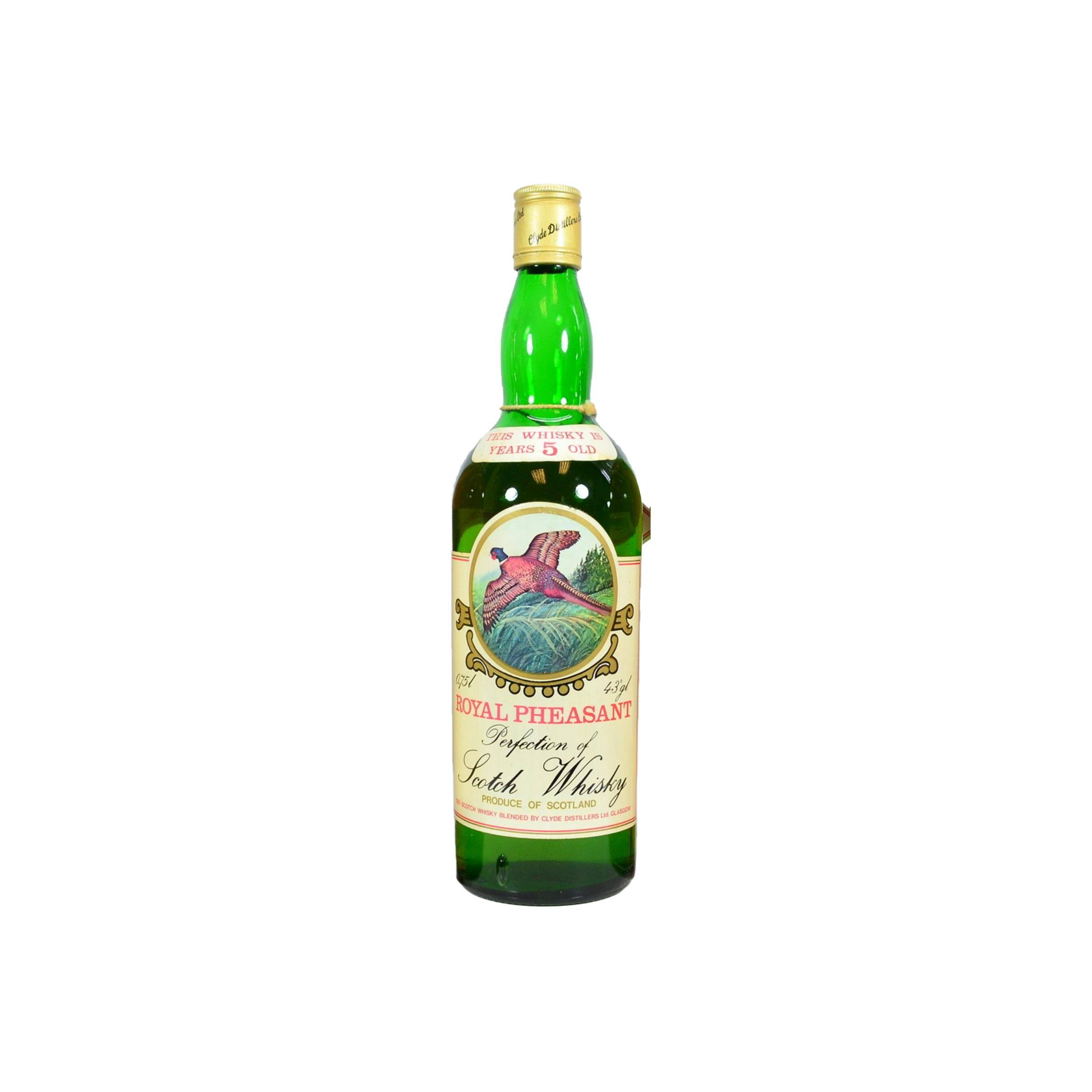 Royal Pheasant 05-year-old