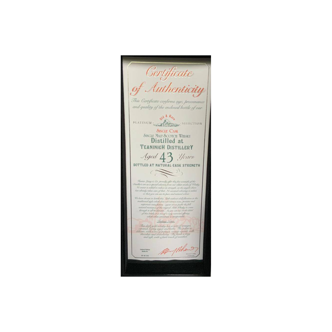 Teaninich 1975 43 Years Single Malt Whisky 2