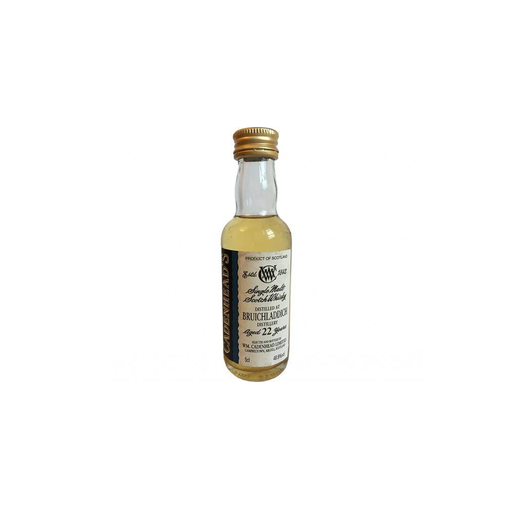 Bruichladdich 1993 22 Years Single Malt Whisky 2