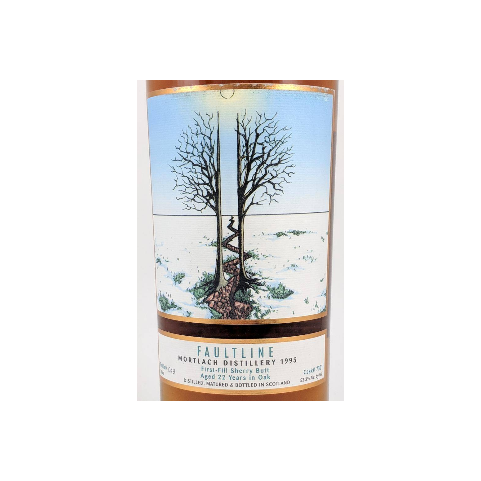 Mortlach 1995 22 Years Single Malt Whisky 3