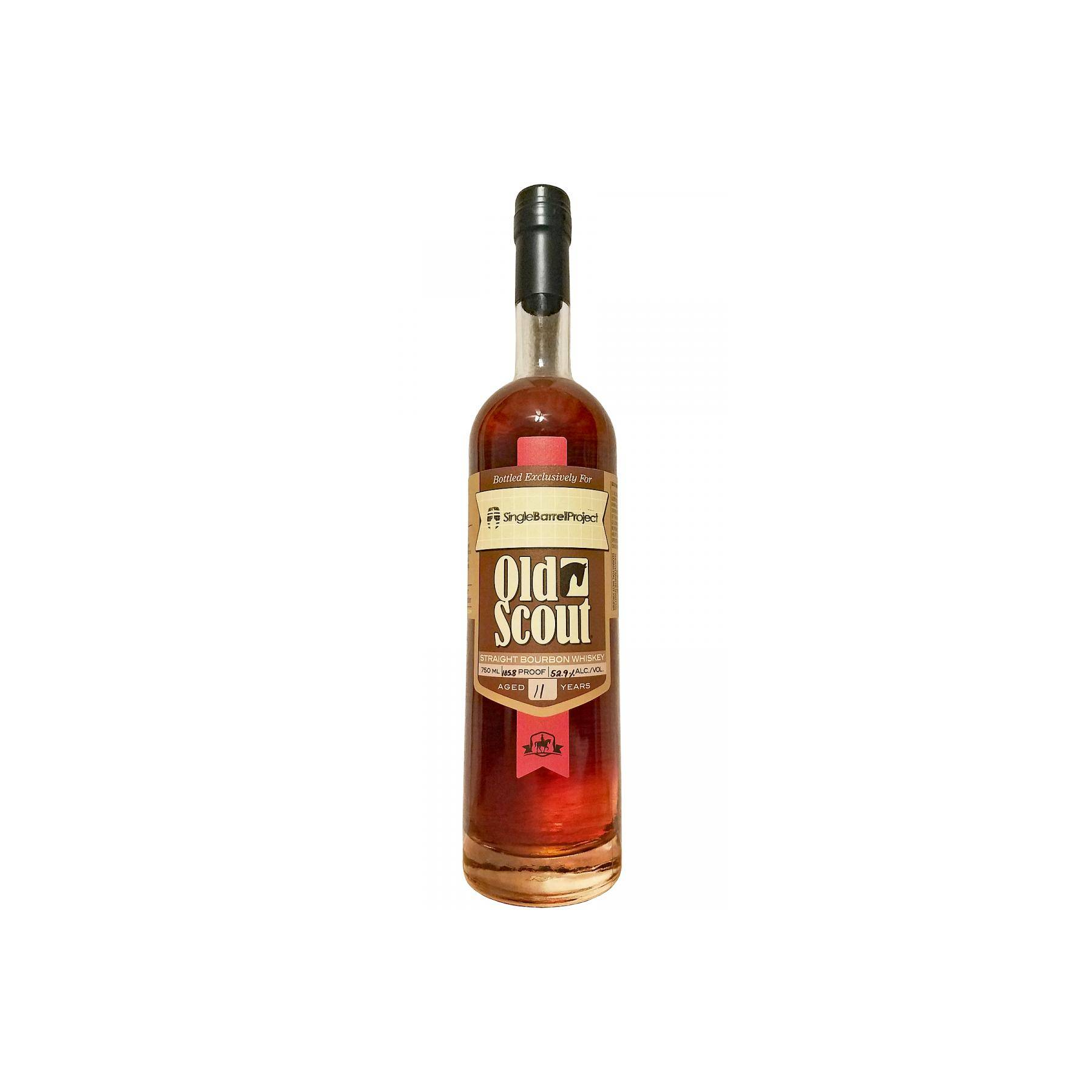 Smooth Ambler 11-year-old
