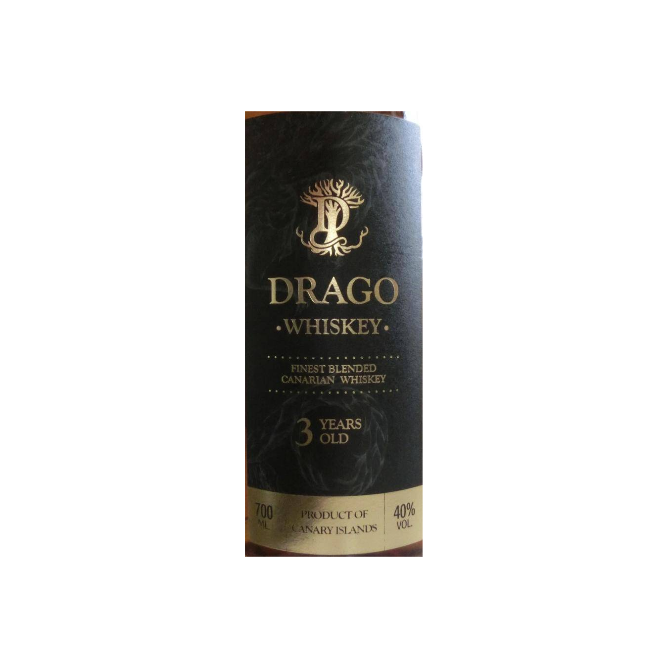 Drago 03-year-old 2