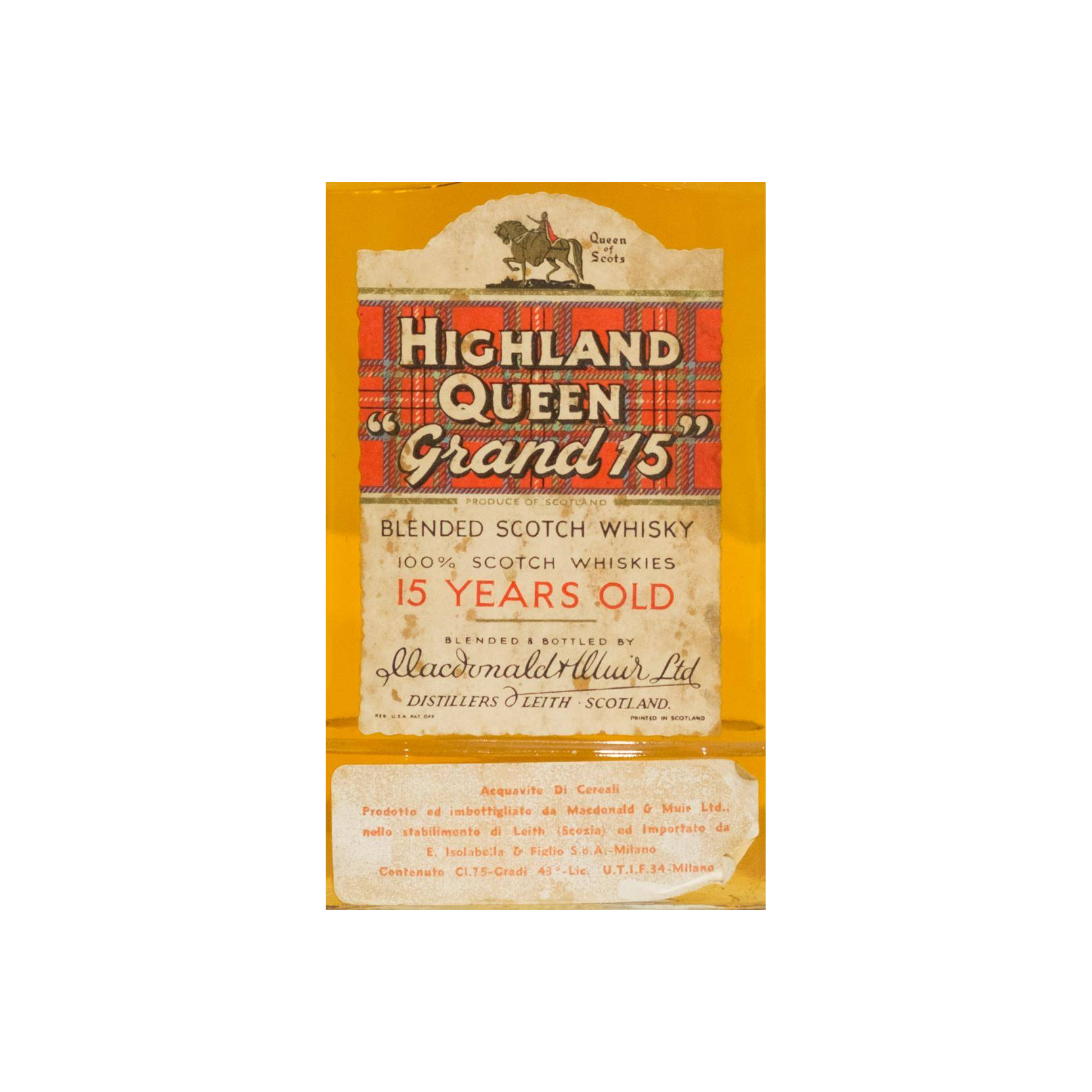Highland Queen 15-year-old 2