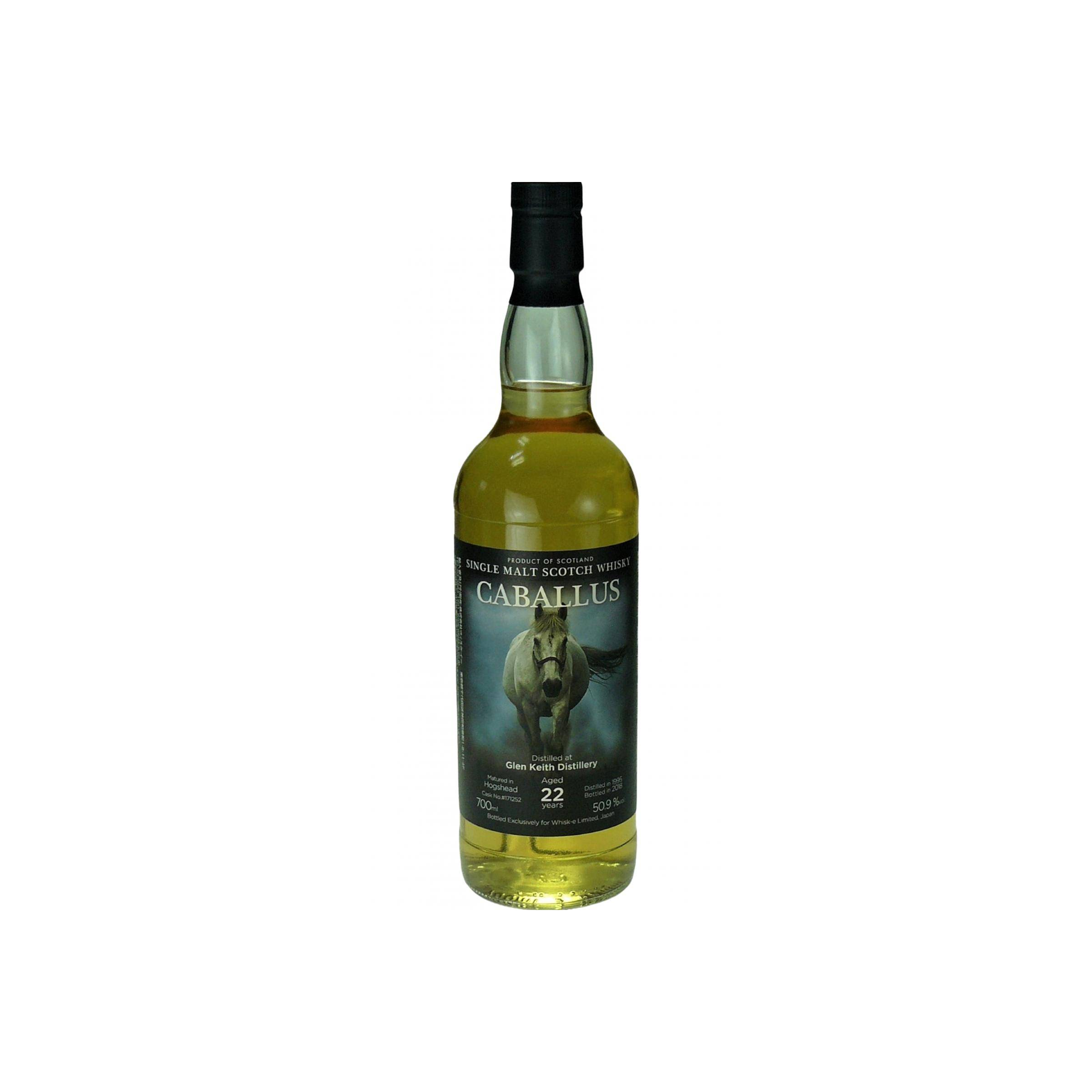 Glen Keith 1995 22 Years Single Malt Whisky