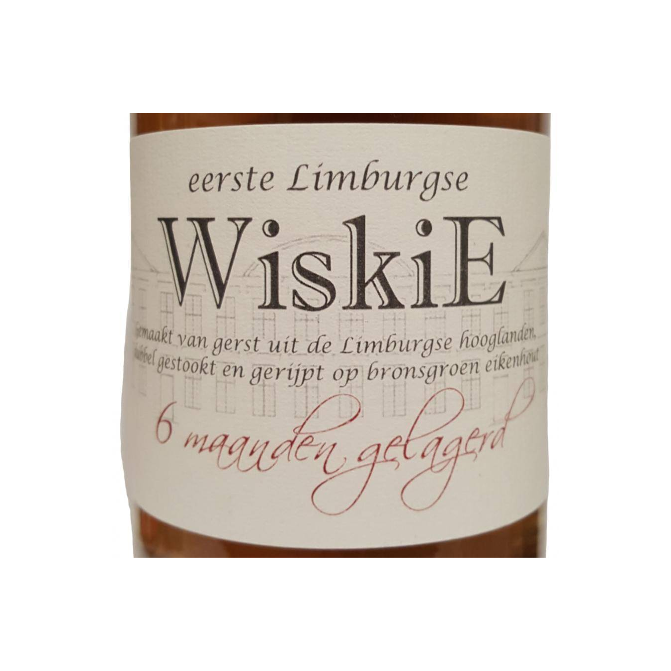 Gerlachus WiskiE 2019 2