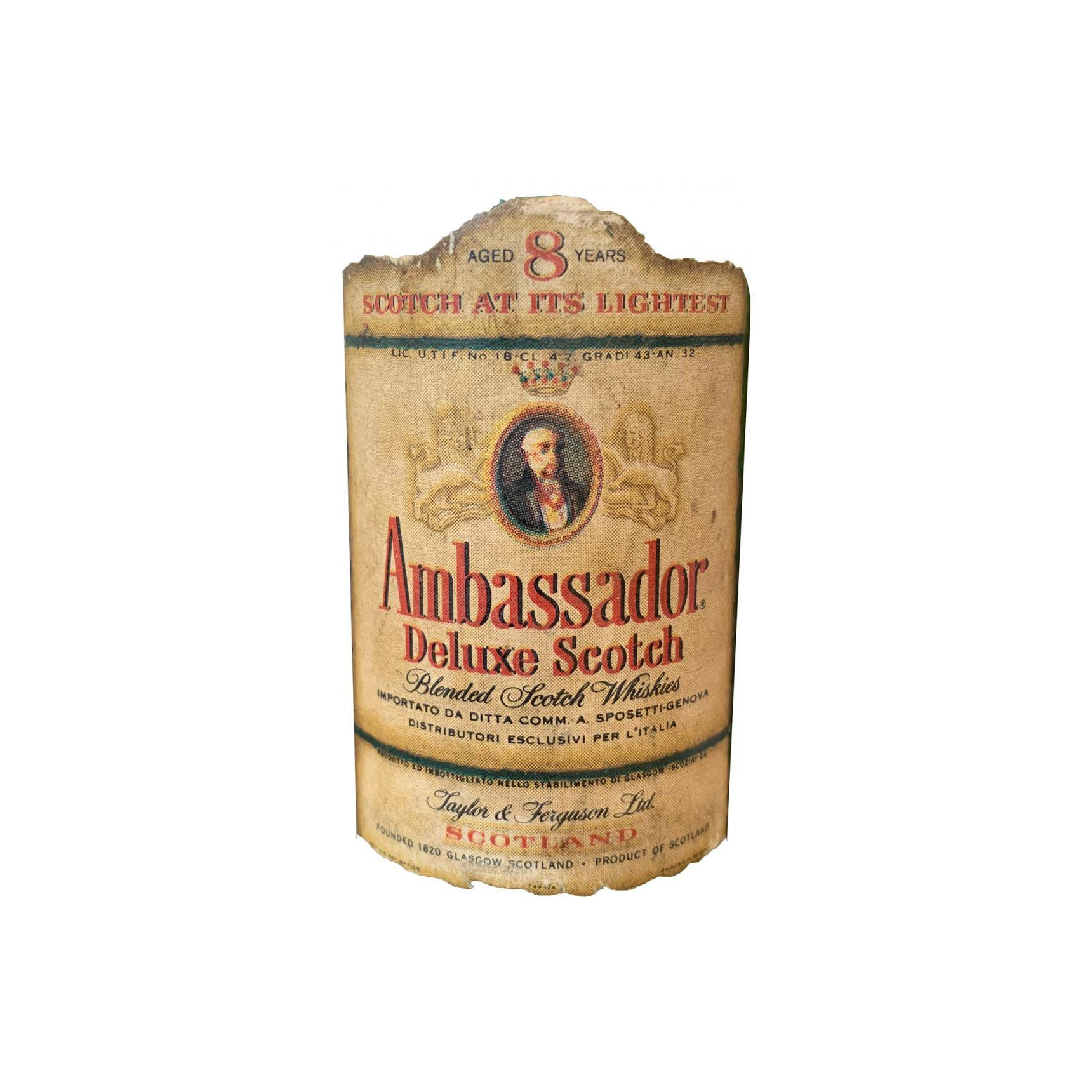 Ambassador 08-year-old 3