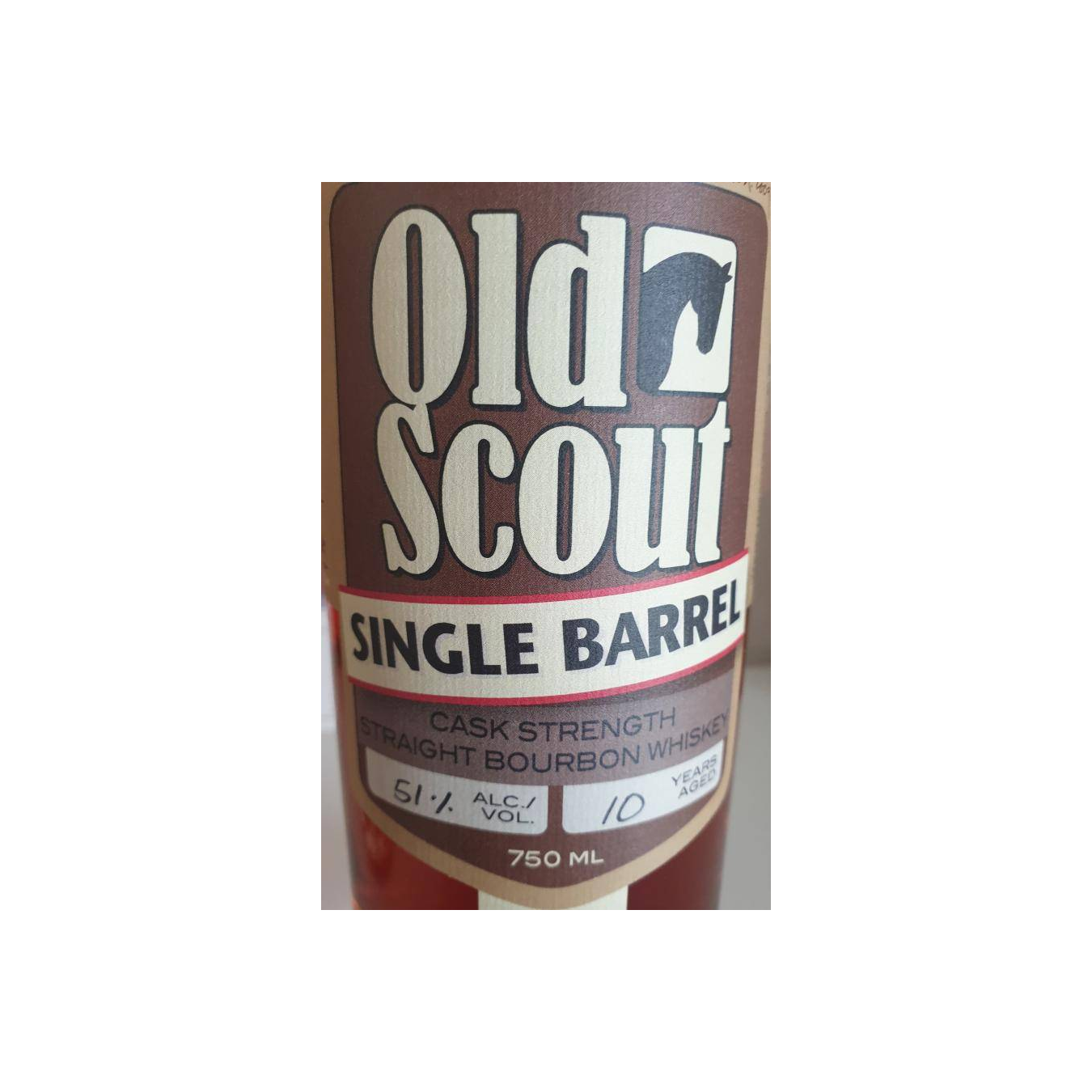 Smooth Ambler 10-year-old