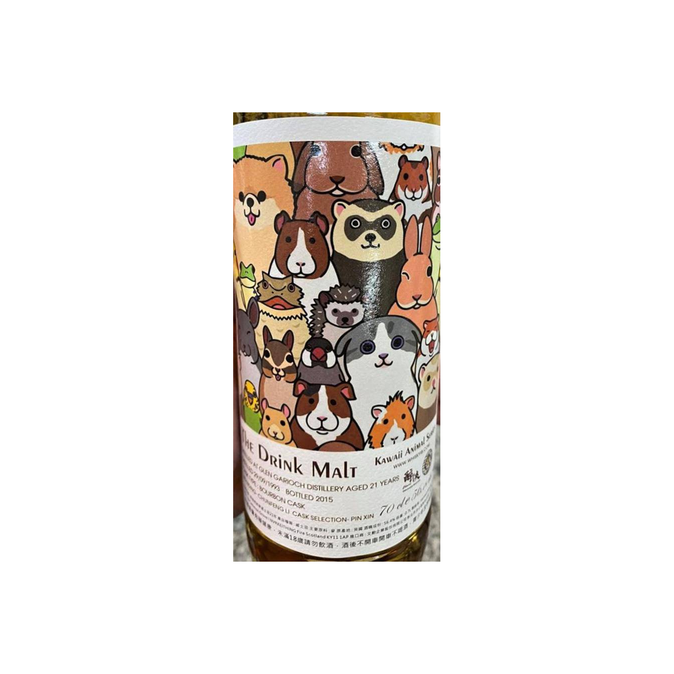 Glen Garioch 1993 21 Years Single Malt Whisky 2