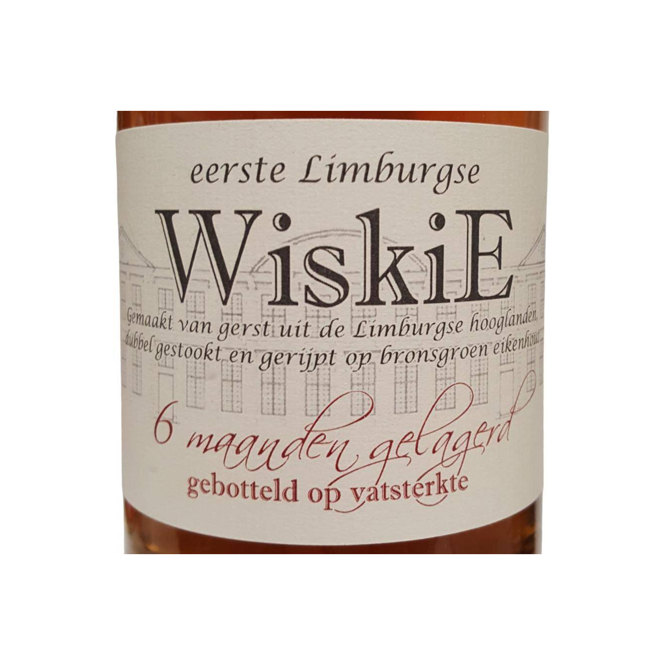 Gerlachus WiskiE 2019 2