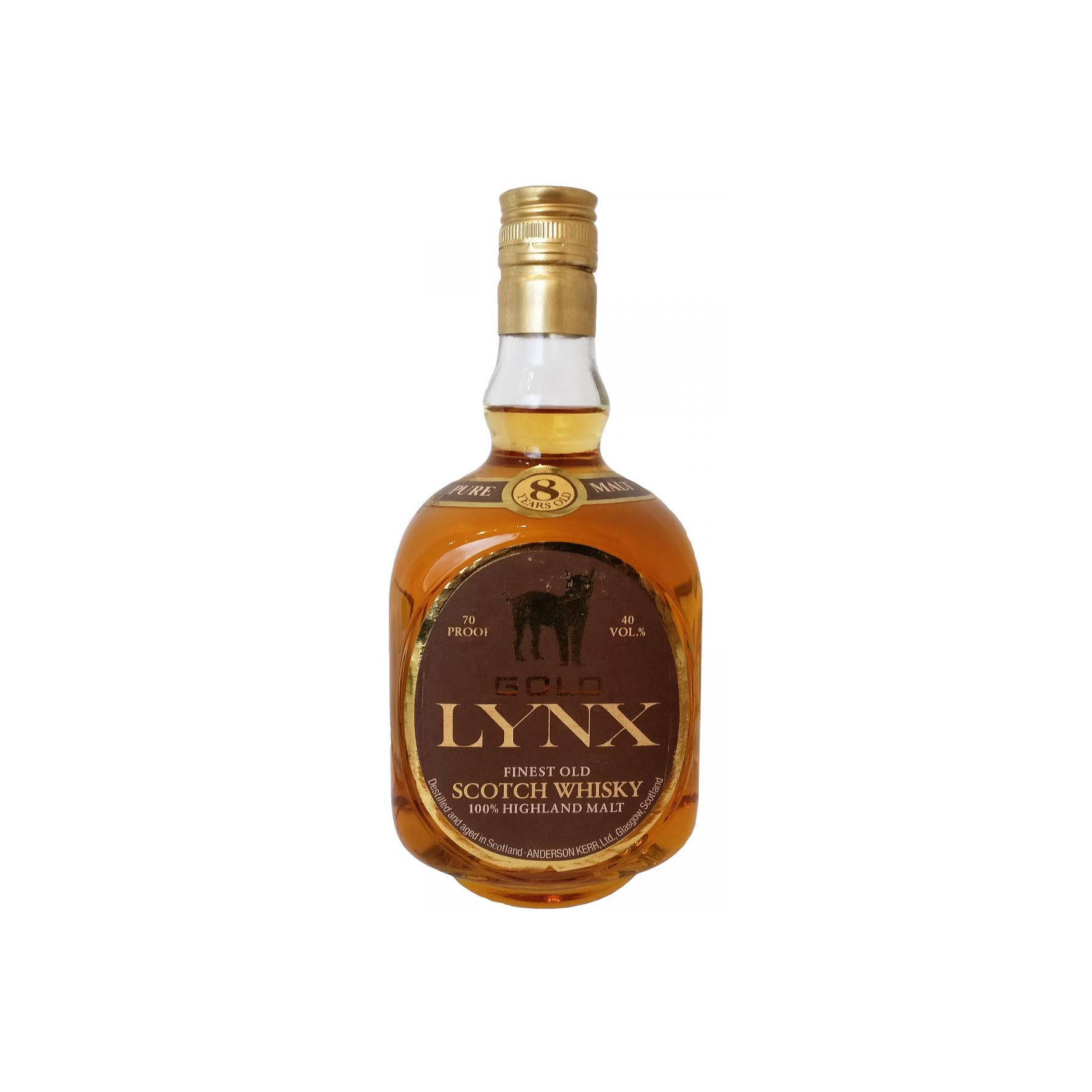 Gold Lynx 08-year-old