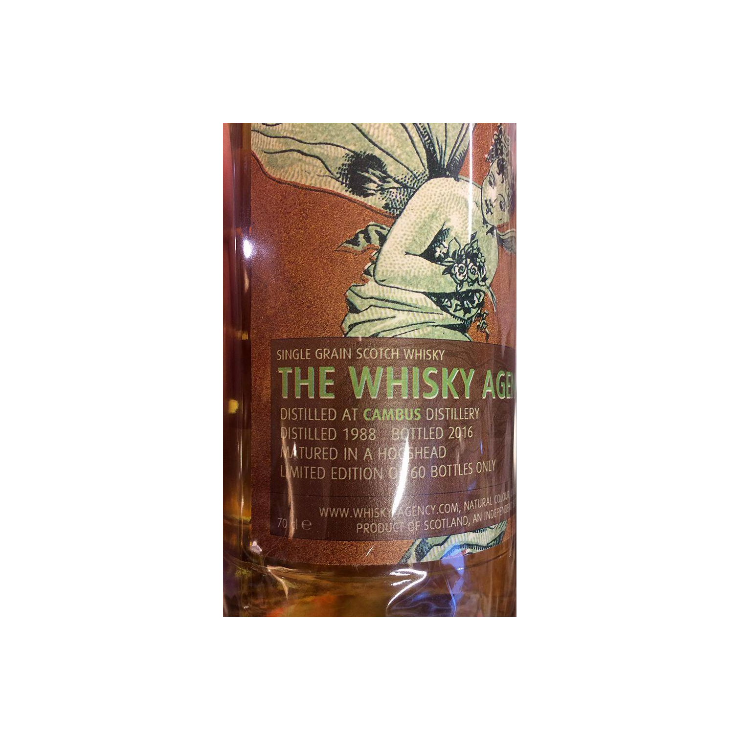 Cambus 1988 28 Years Single Grain Whisky 3