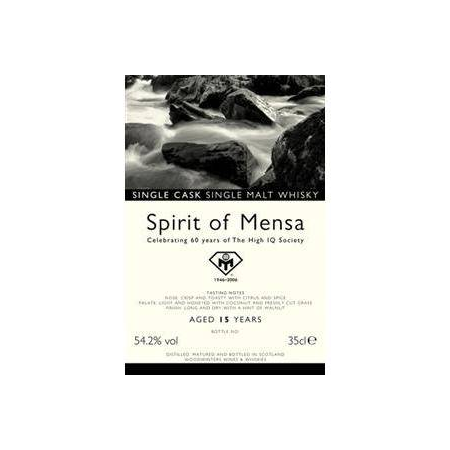 Spirit of Mensa 15-year-old WoW