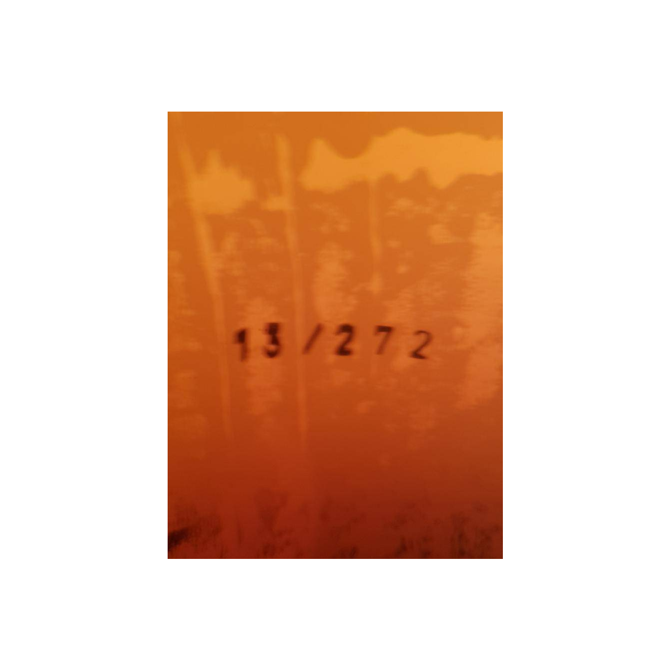 Springbank Cask Strength Collection 12 Years Single Malt Whisky 2