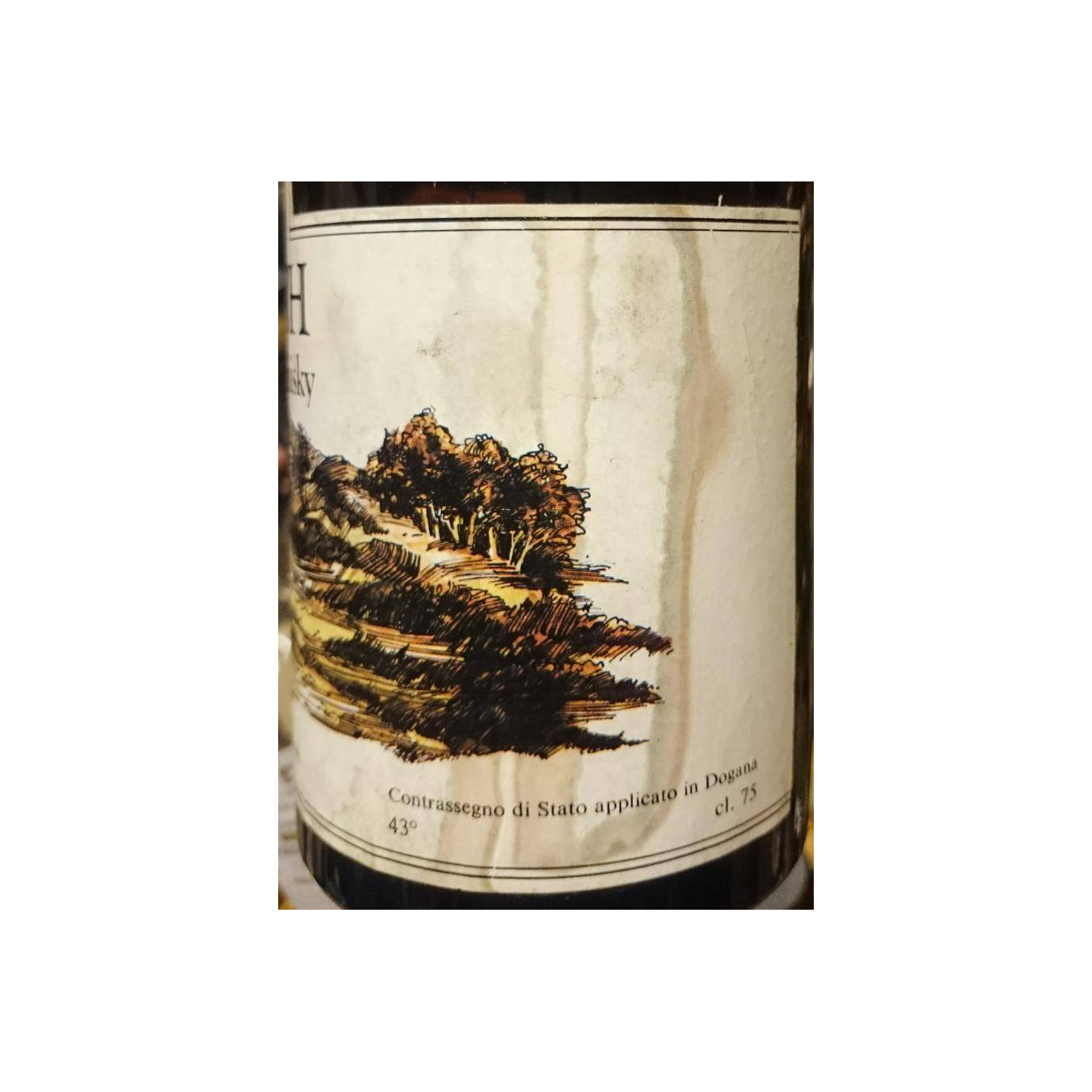 Glen Garioch 8 Years Single Malt Whisky 3