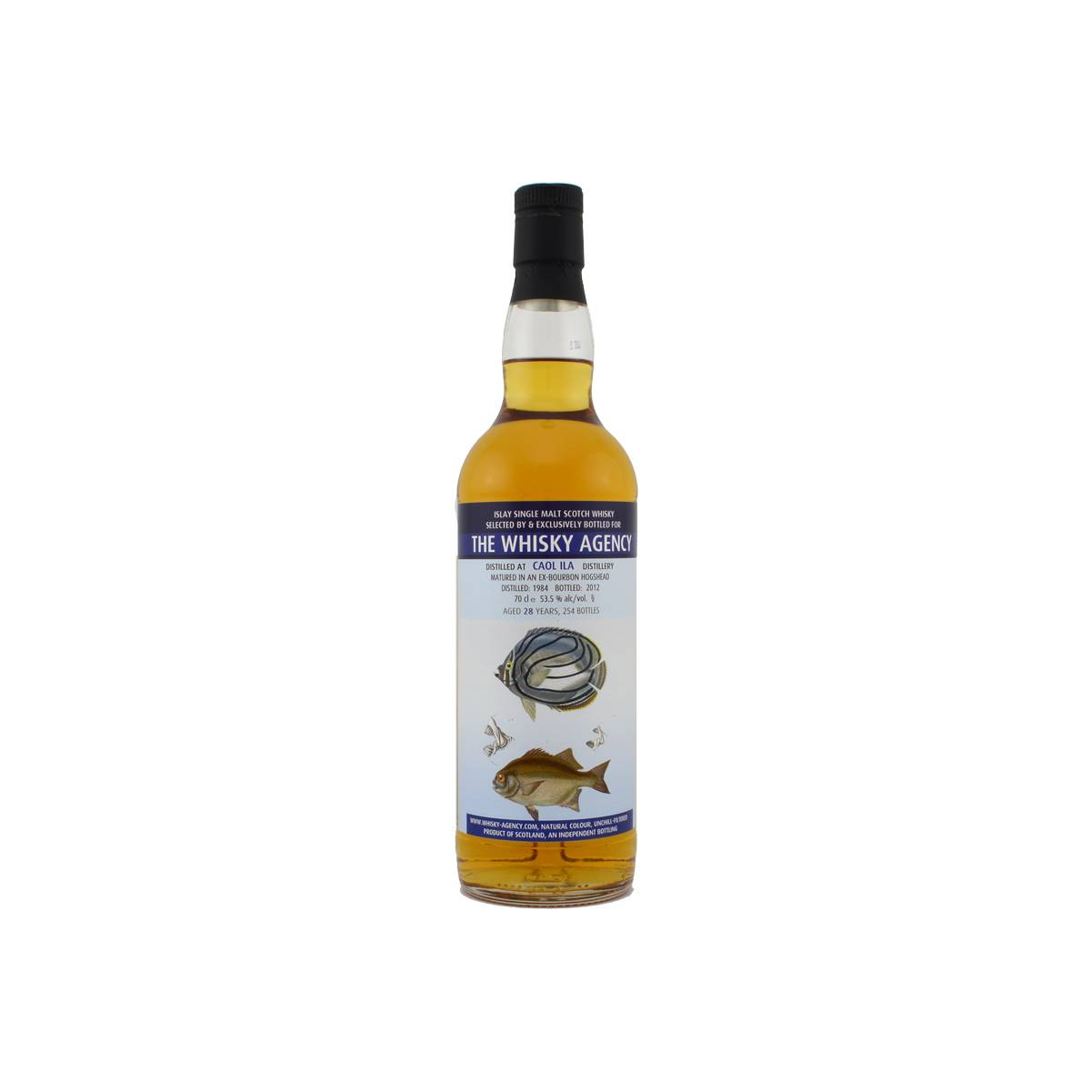 Caol Ila 1984 28 Years Single Malt Whisky