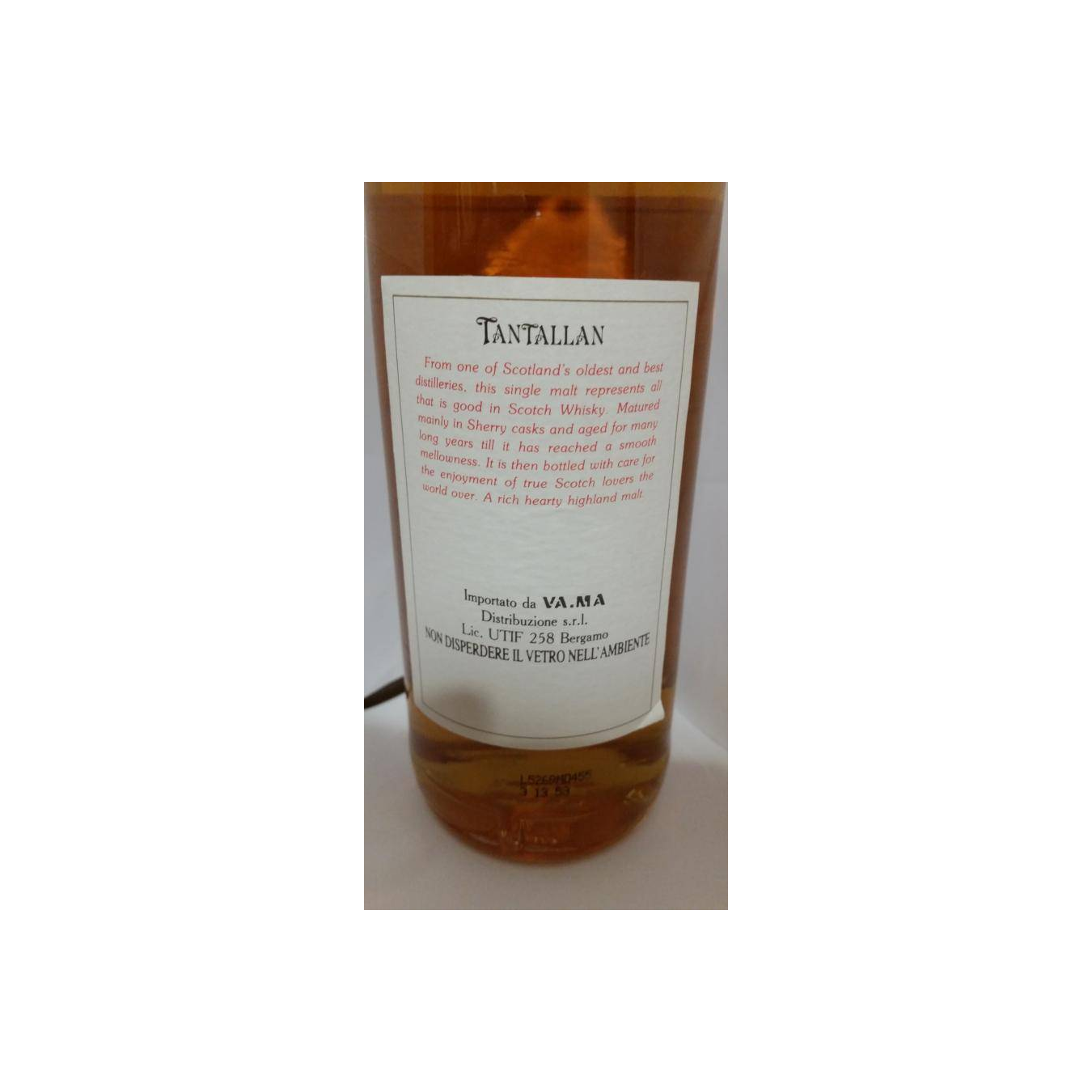 Tantallan 10-year-old VM 3