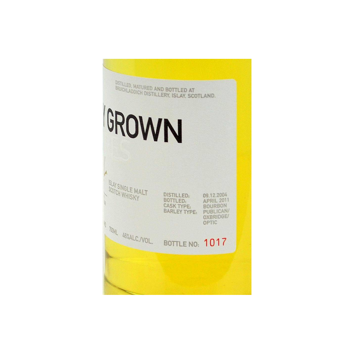 Bruichladdich 2004 6 Years Single Malt Whisky 3
