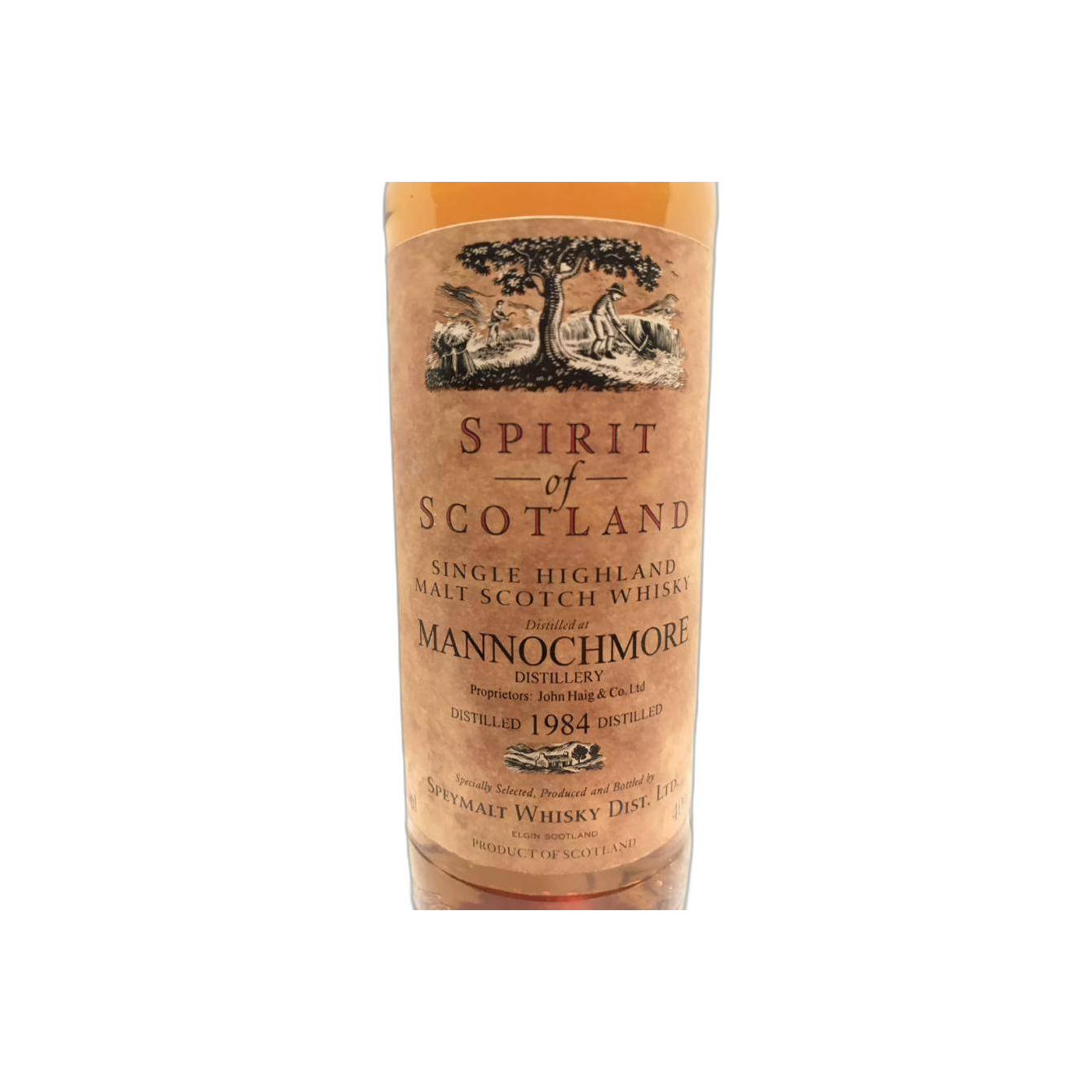 Mannochmore 1984 Single Malt Whisky 2