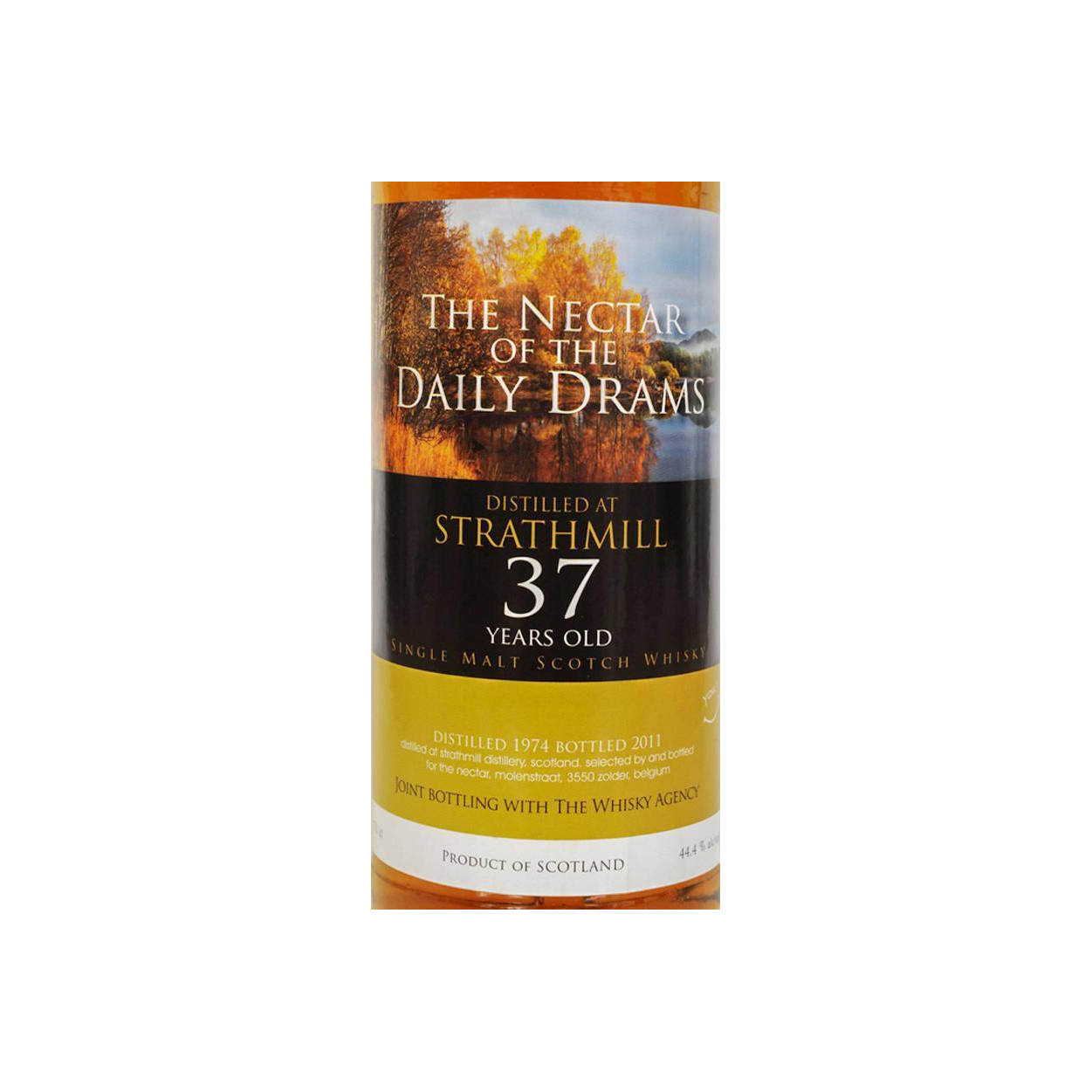 Strathmill 1974 37 Years Single Malt Whisky 2