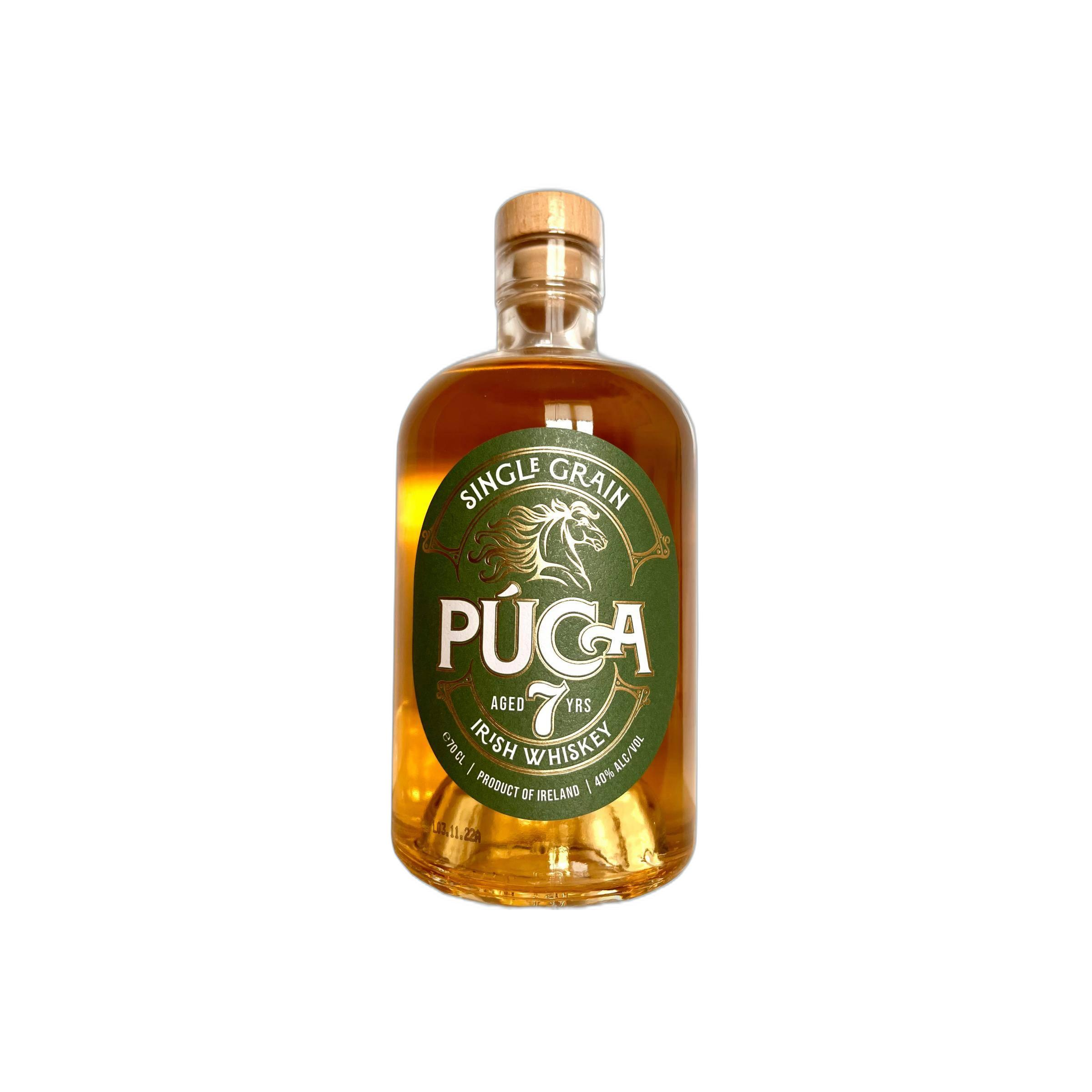 Púca  07-year-old BLDI