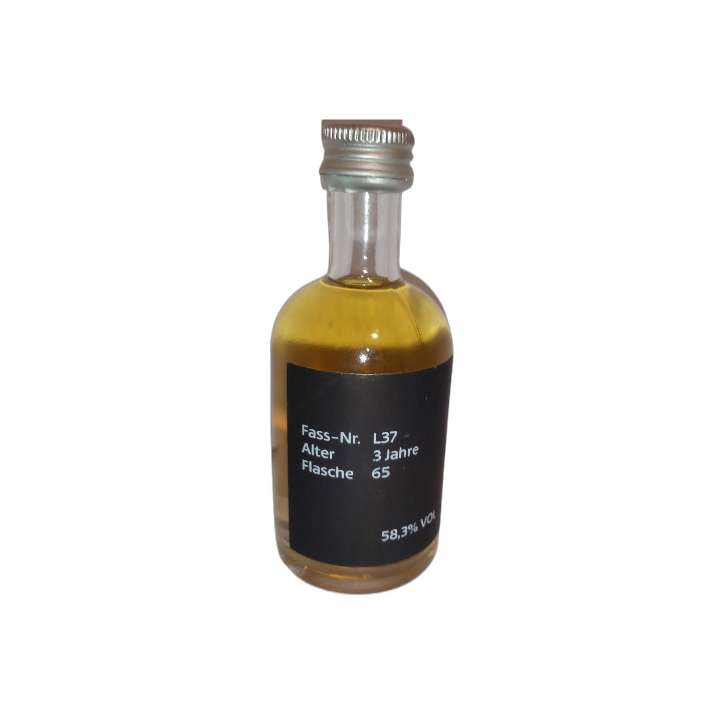 DeCavo 03-year-old 2