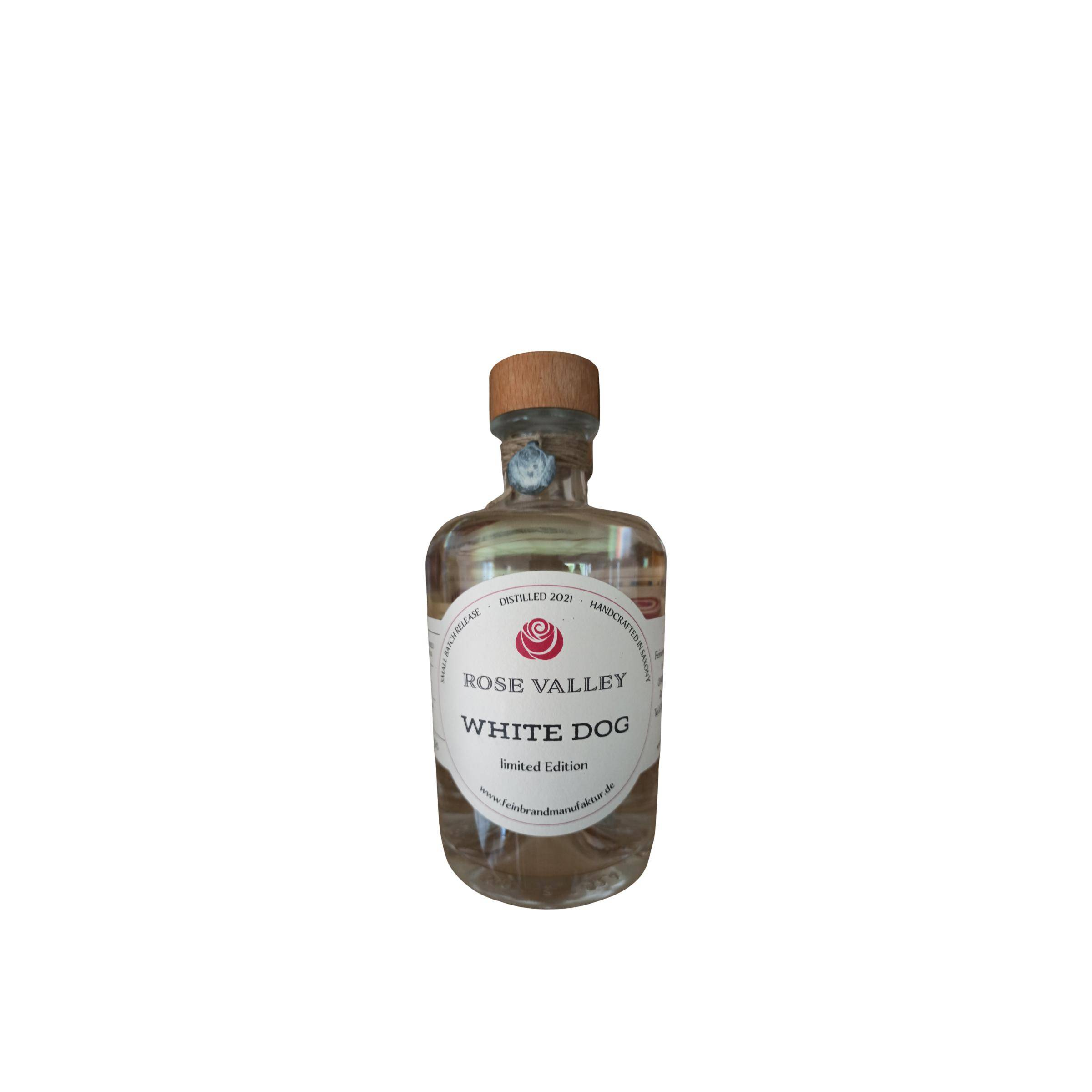 Rose Valley White Dog