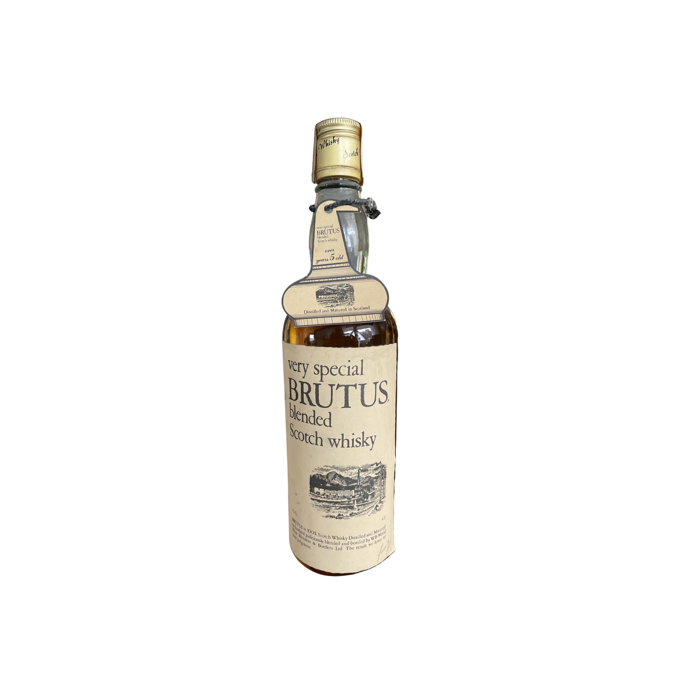 Brutus 05-year-old