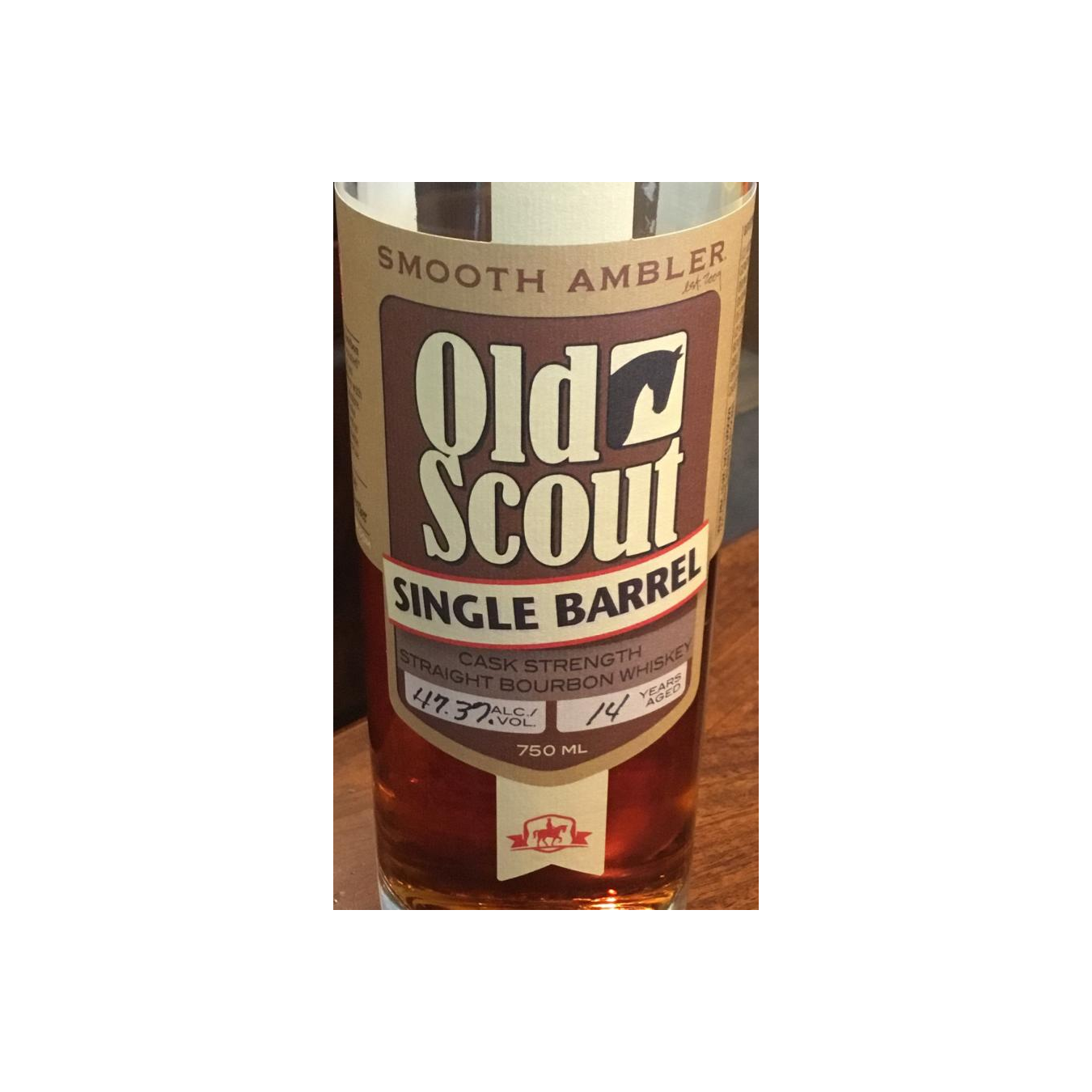 Smooth Ambler 14-year-old