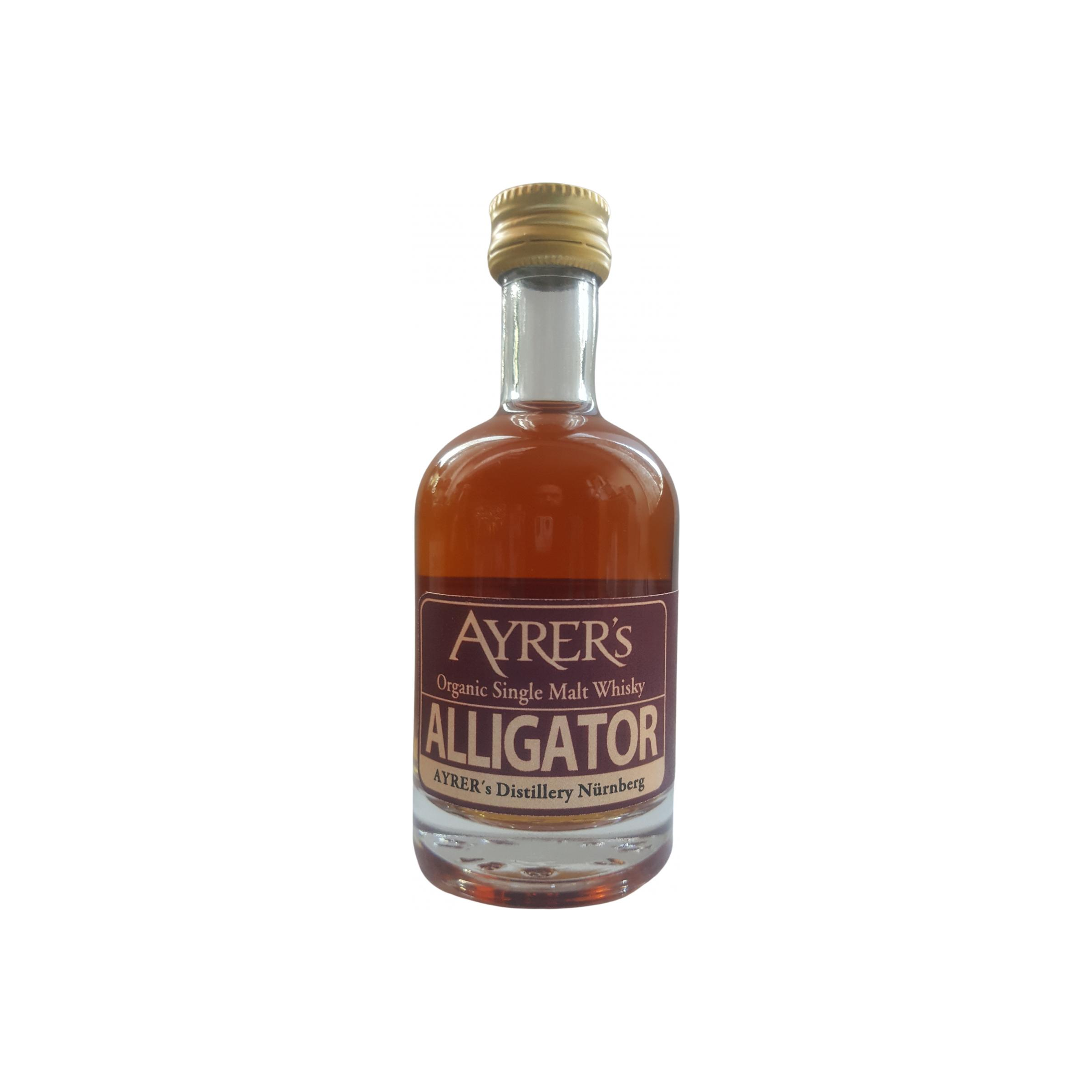 Ayrer's Alligator 2