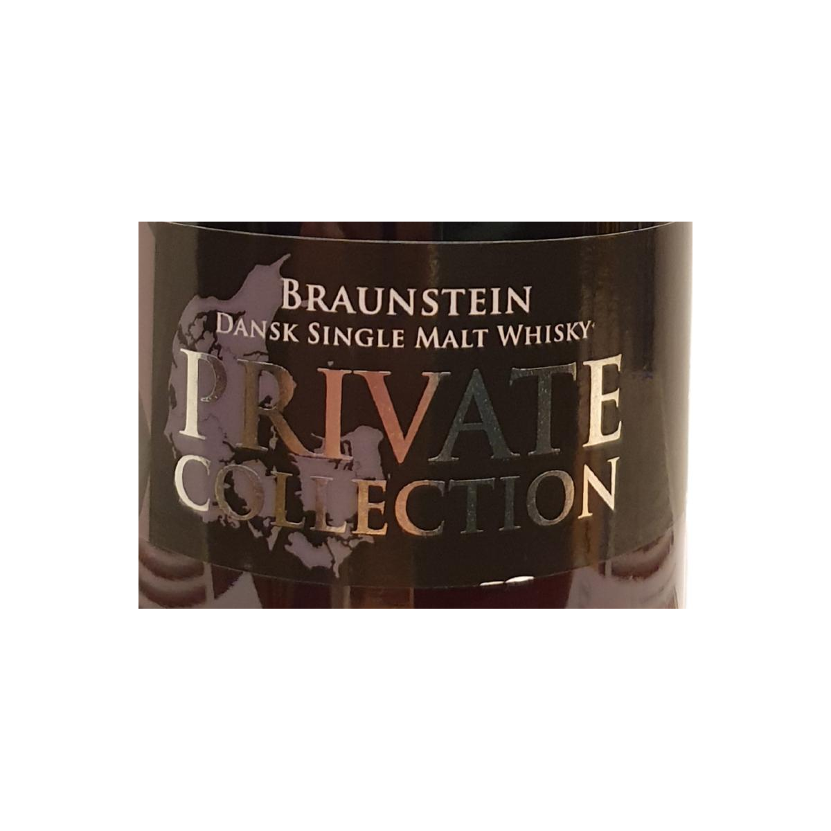 Braunstein 2008 2