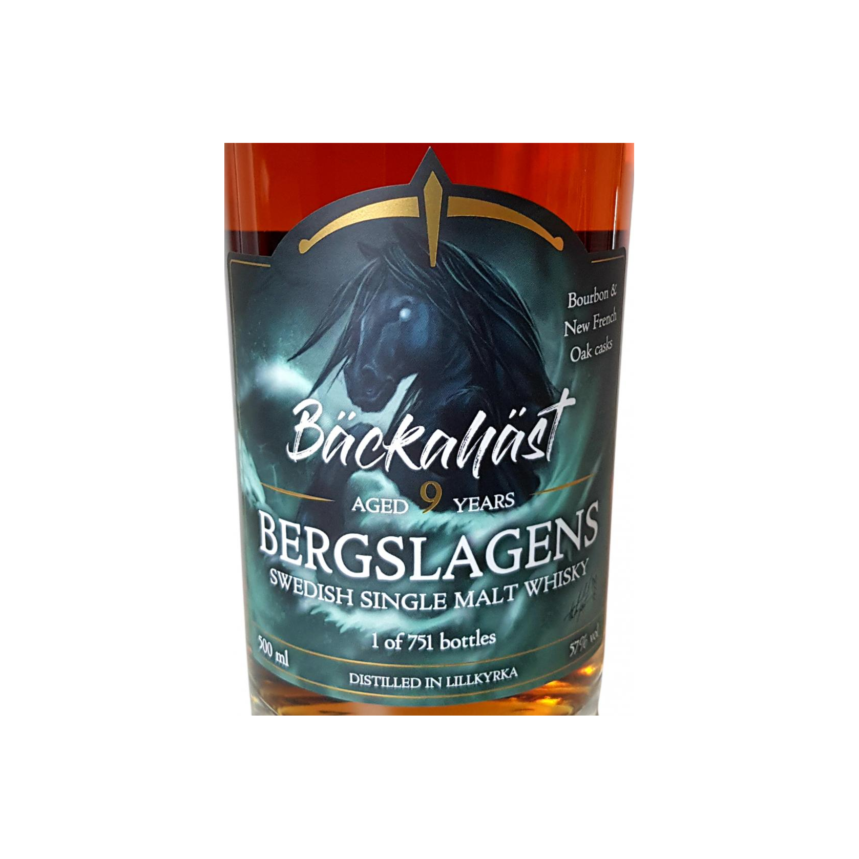 Bergslagens 09-year-old Ber 2