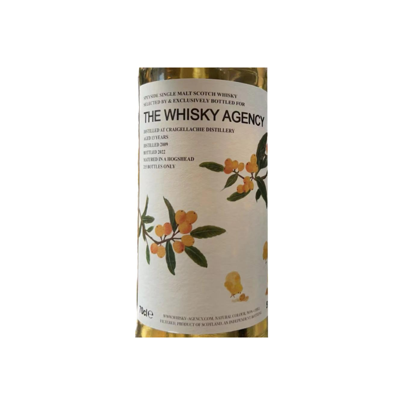 Craigellachie 2009 13 Years Single Malt Whisky
