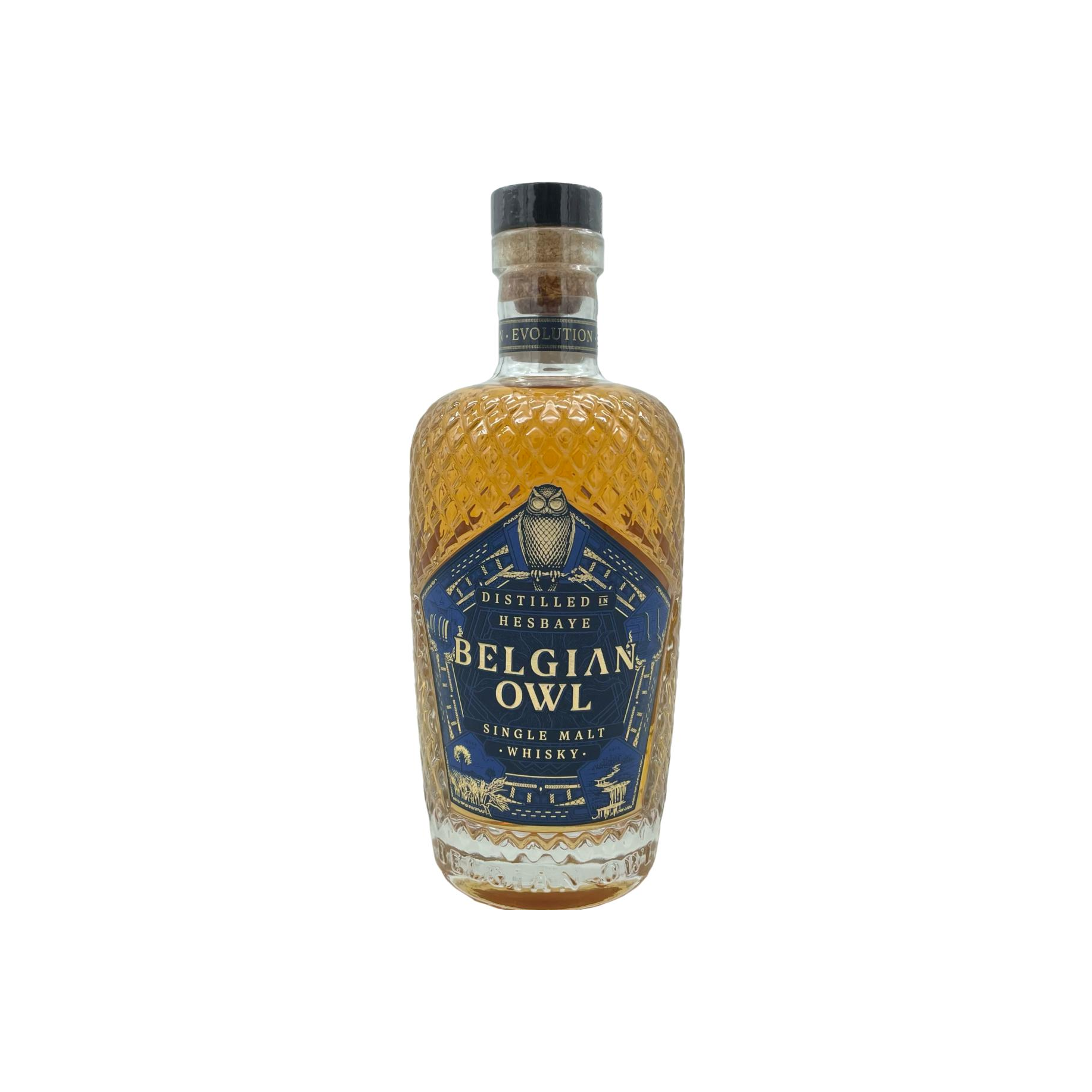 The Belgian Owl 04-year-old