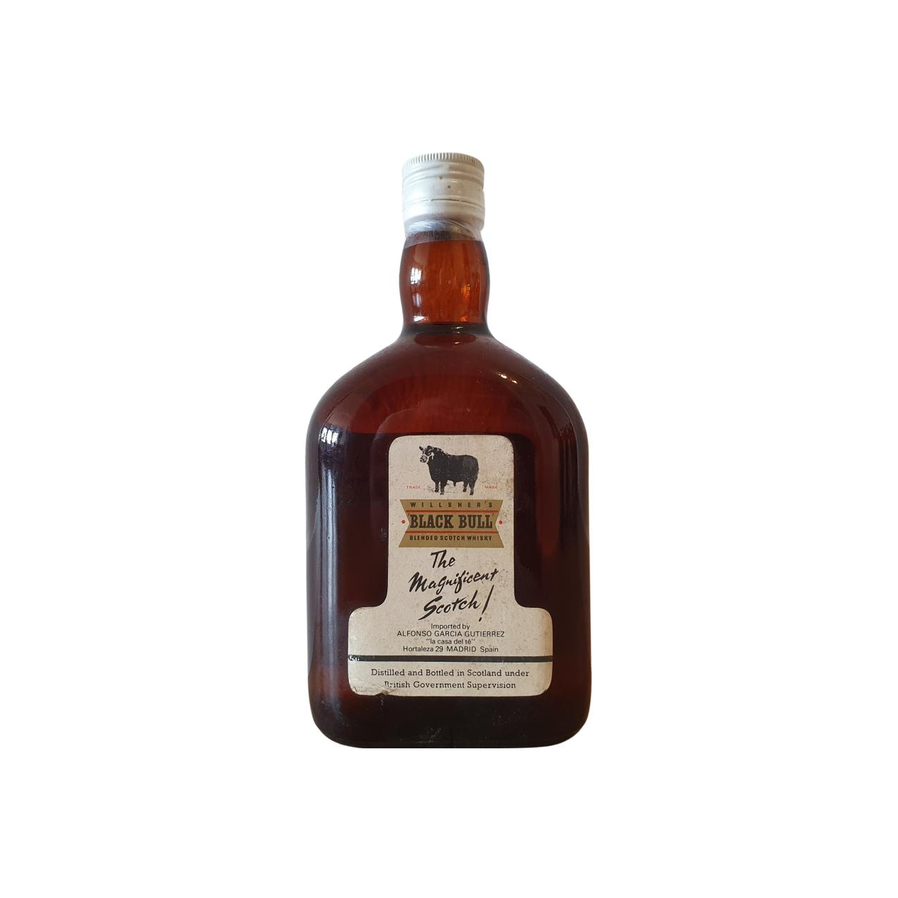 Black Bull Willsher's GWC 2