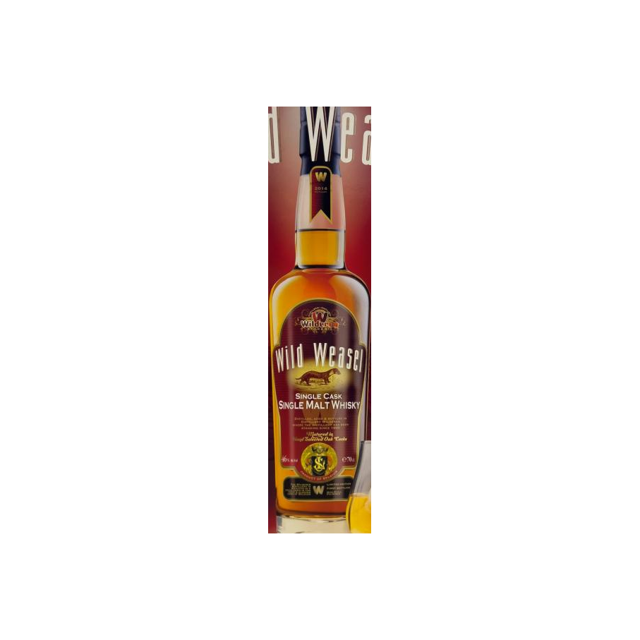 Wild Weasel 2014 3
