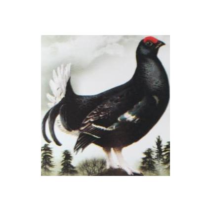The Black Grouse Blendet Scotch Whisky