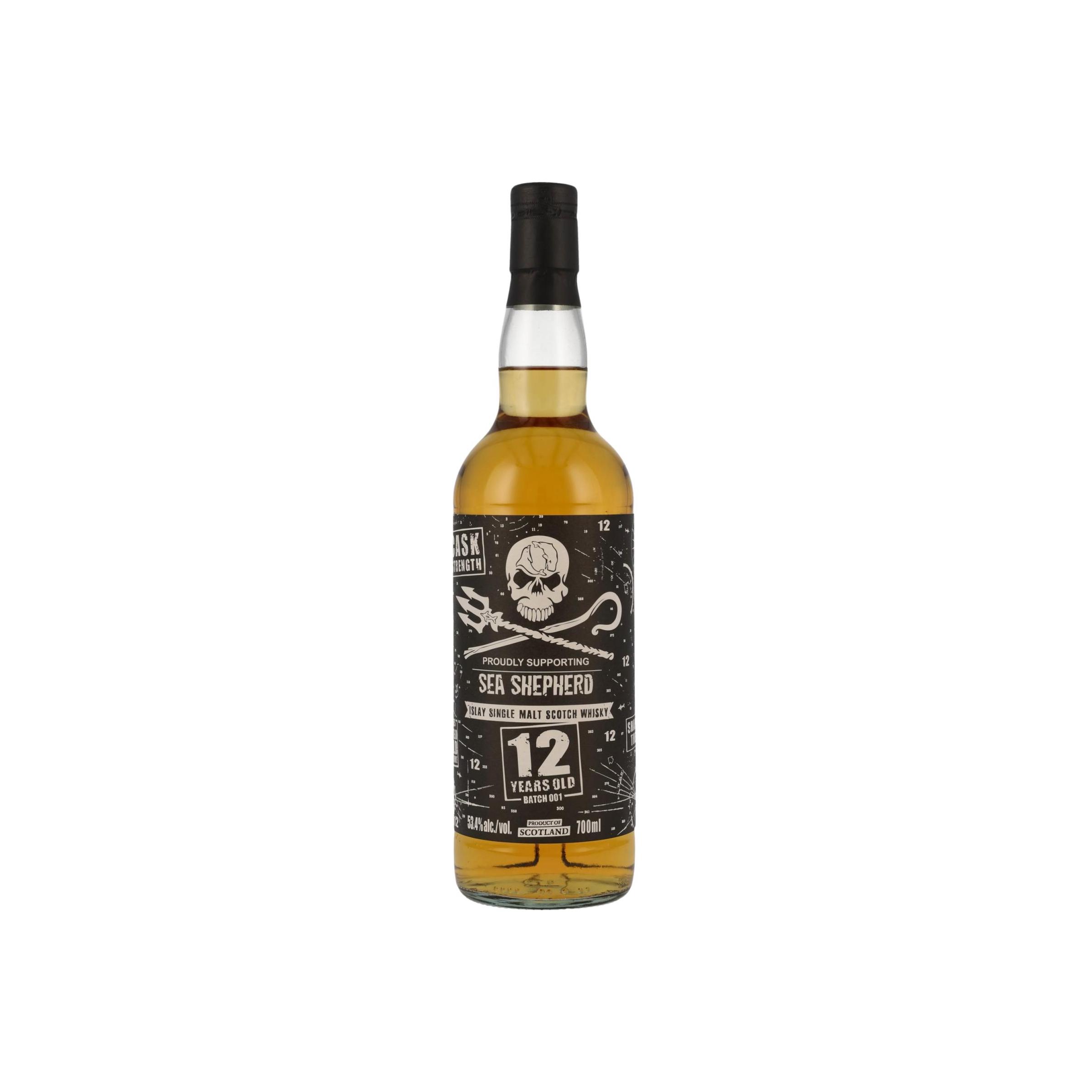Islay Single Malt Scotch Whisky 12-year-old KI