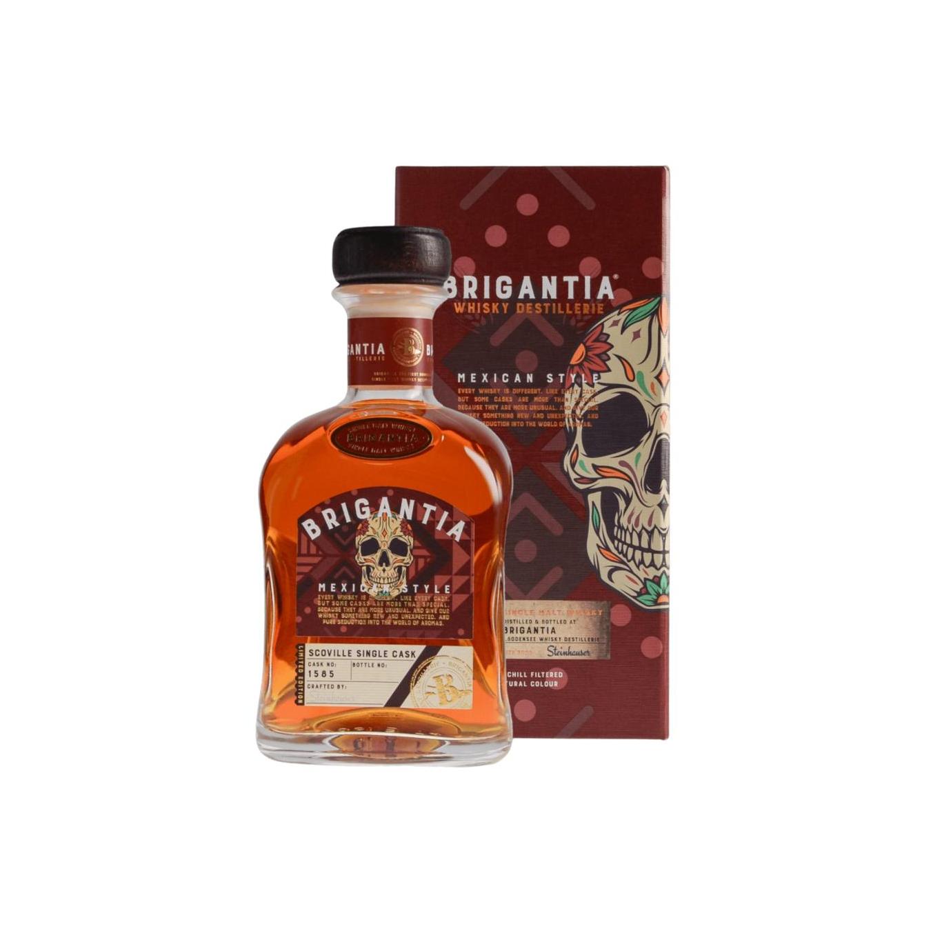 Brigantia 07-year-old
