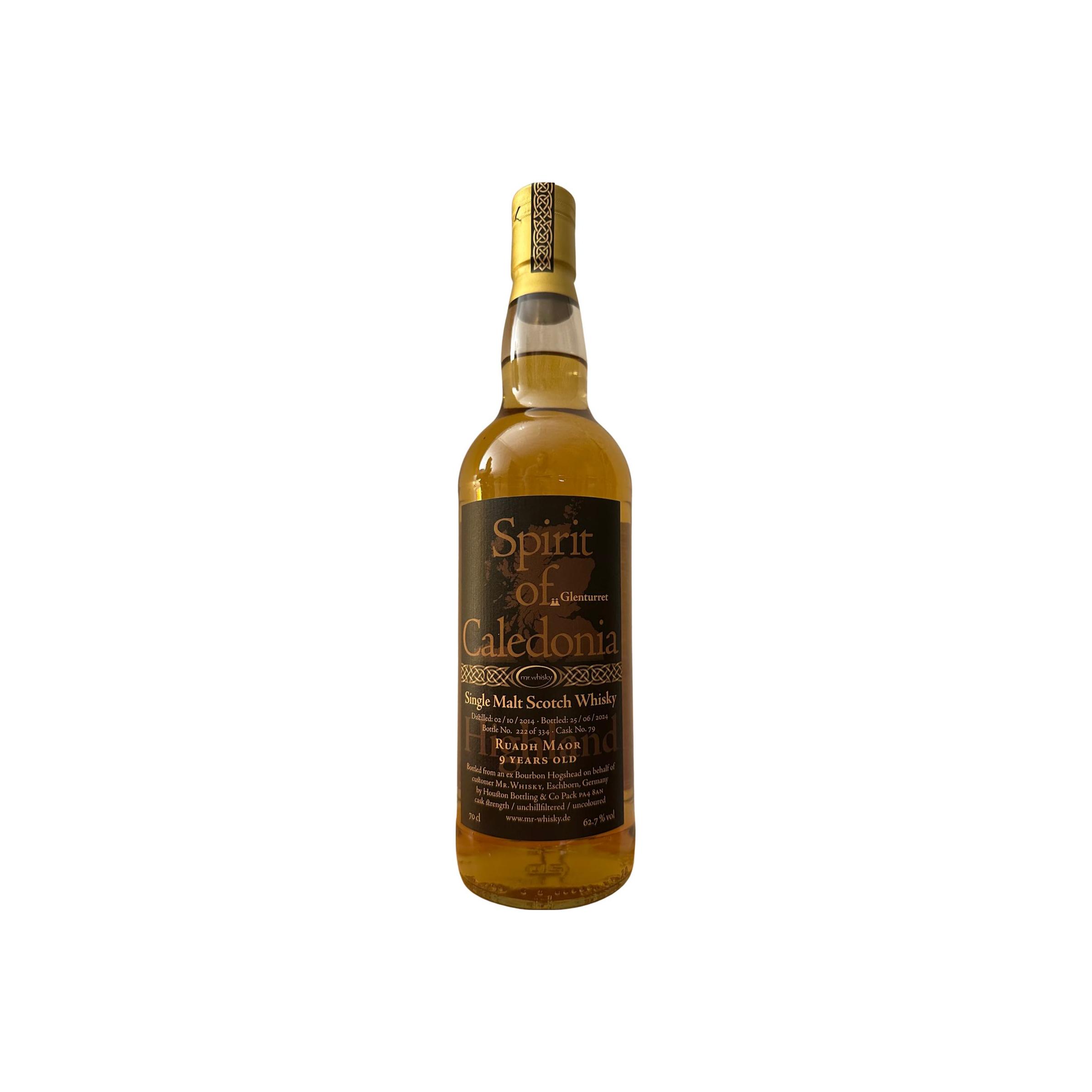 Ruadh Maor 2014 MrW