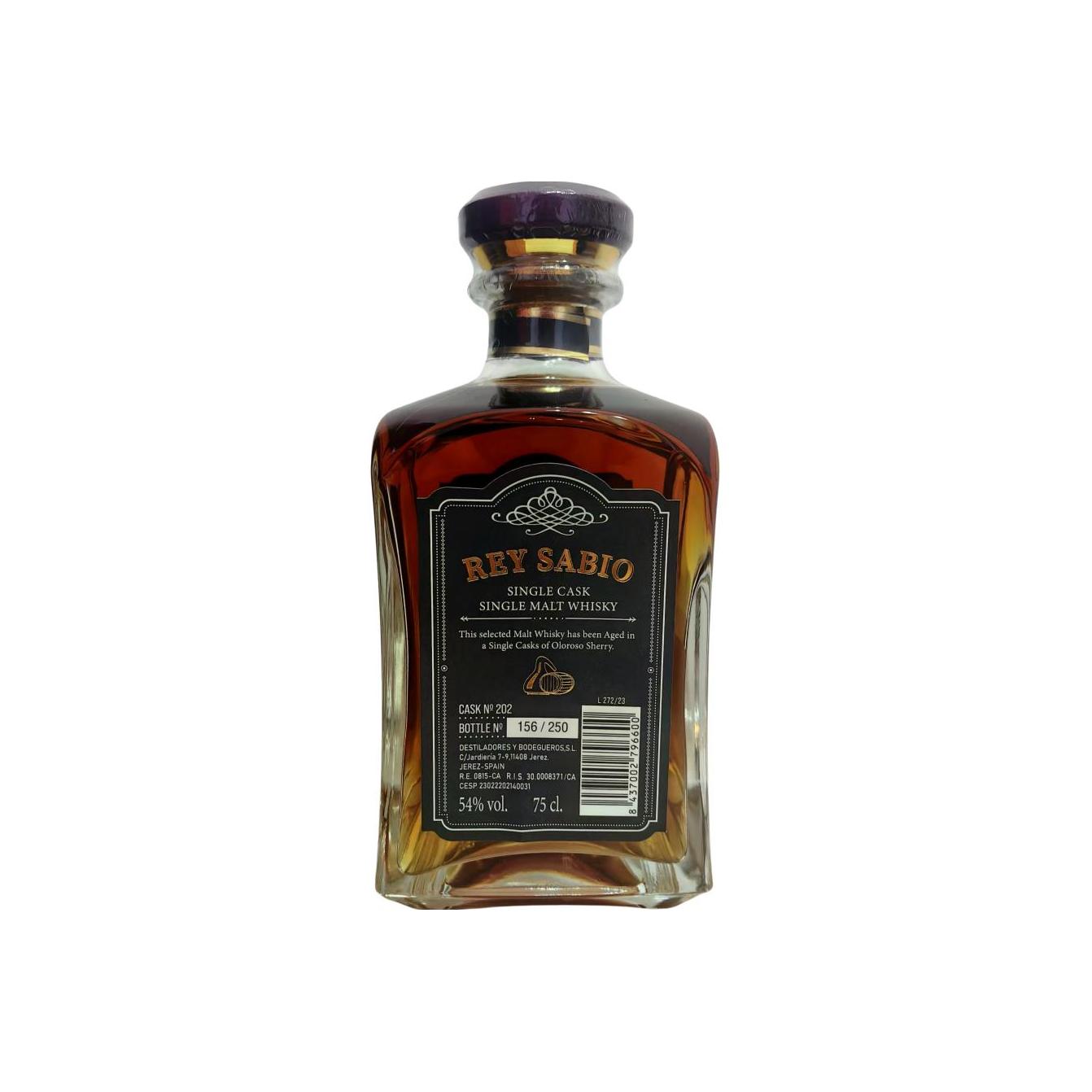 Rey Sabio 12-year-old 2