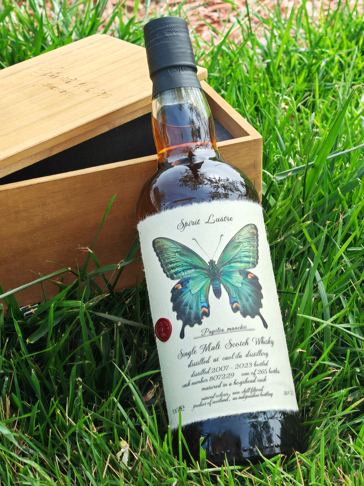 Caol Ila 2007 16 Years Single Malt Whisky 2