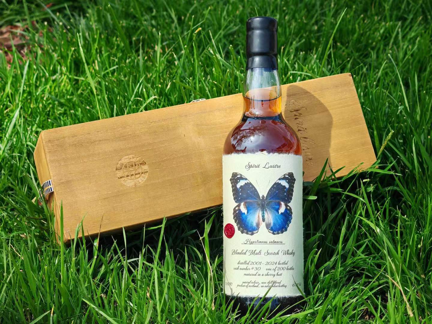 22 Year Old Blended Malt Whisky 蝴蝶标本 2