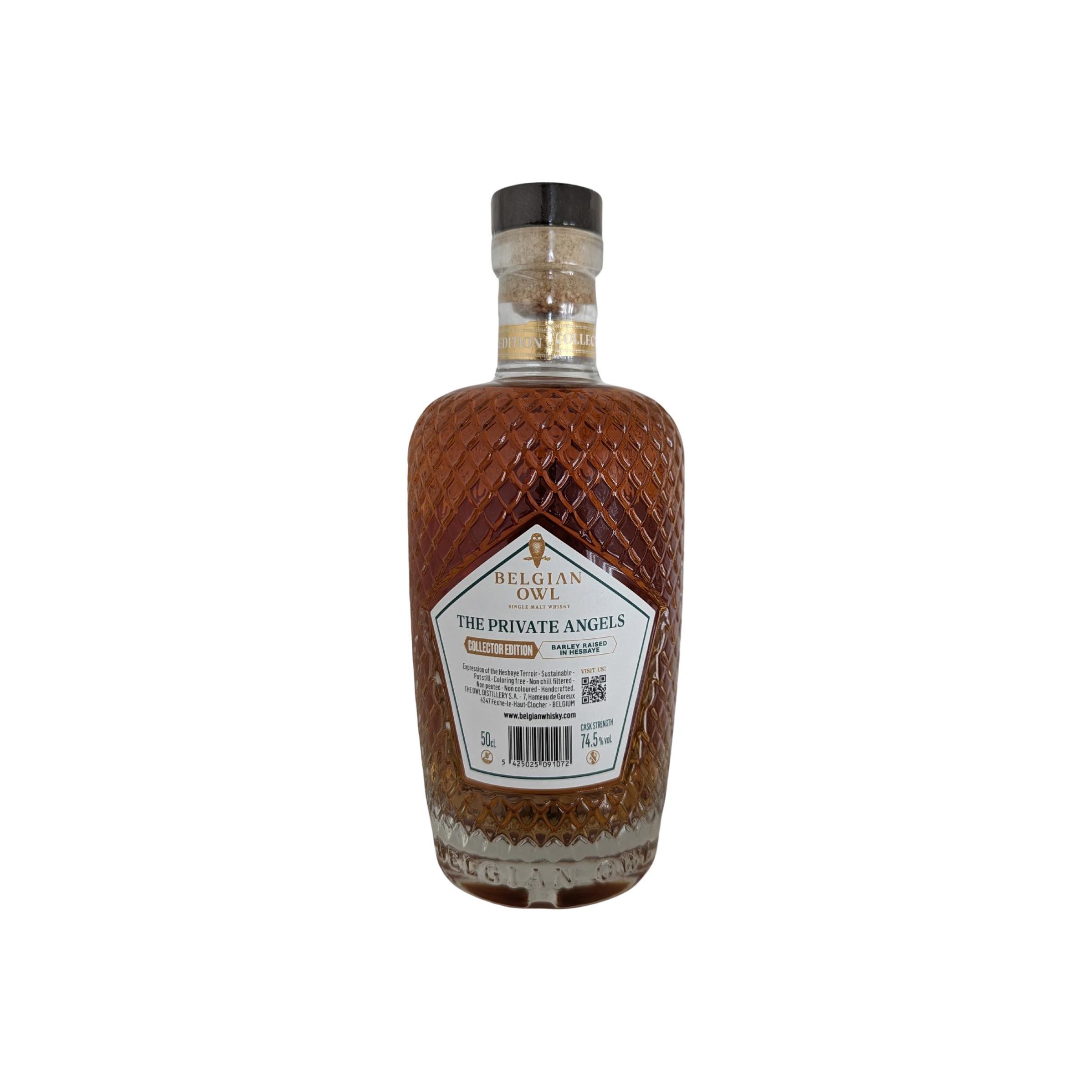 The Belgian Owl 10-year-old 2