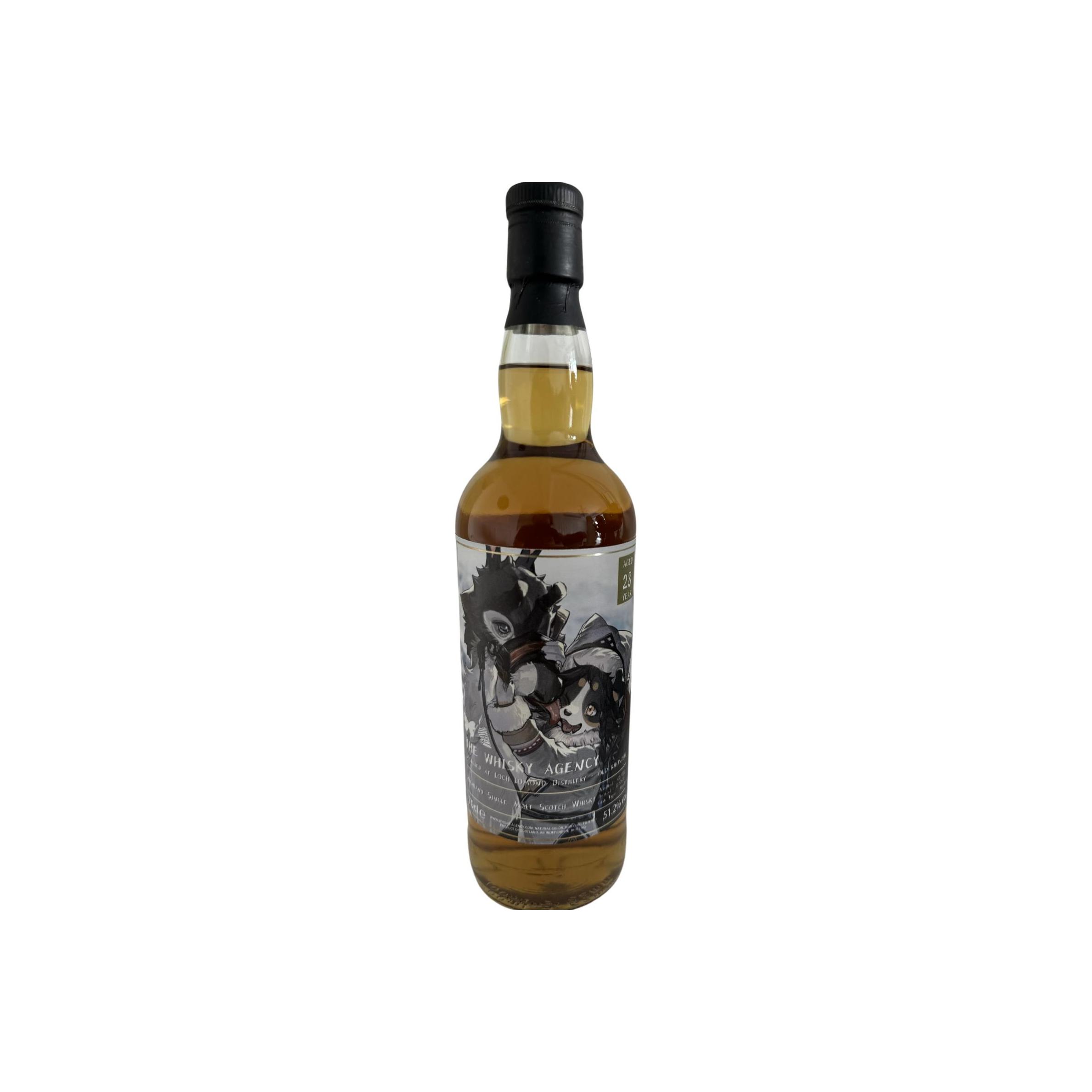 Loch Lomond 1993 28 Years Single Malt Whisky