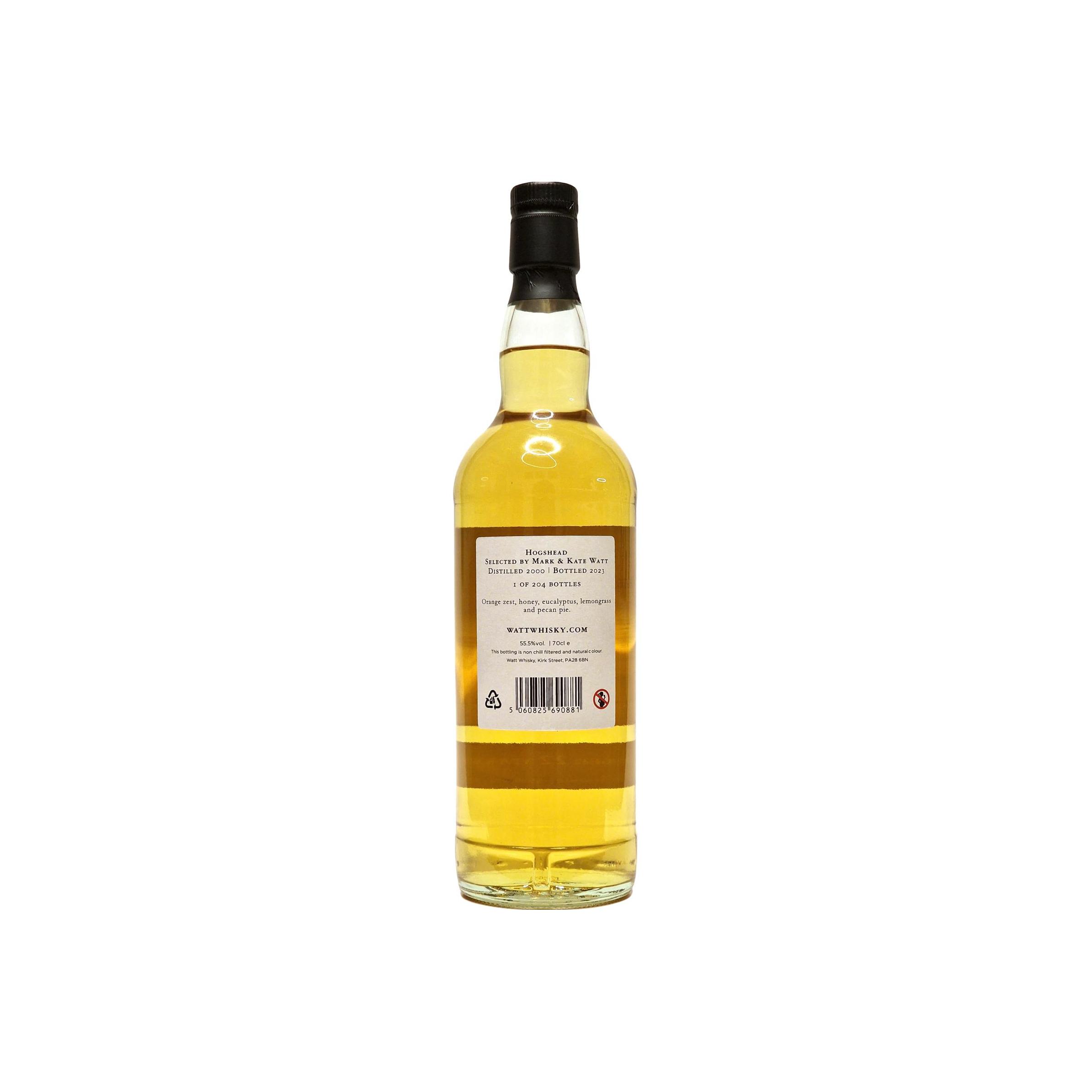 Dumbarton 2000 22 Years Single Grain Whisky 2