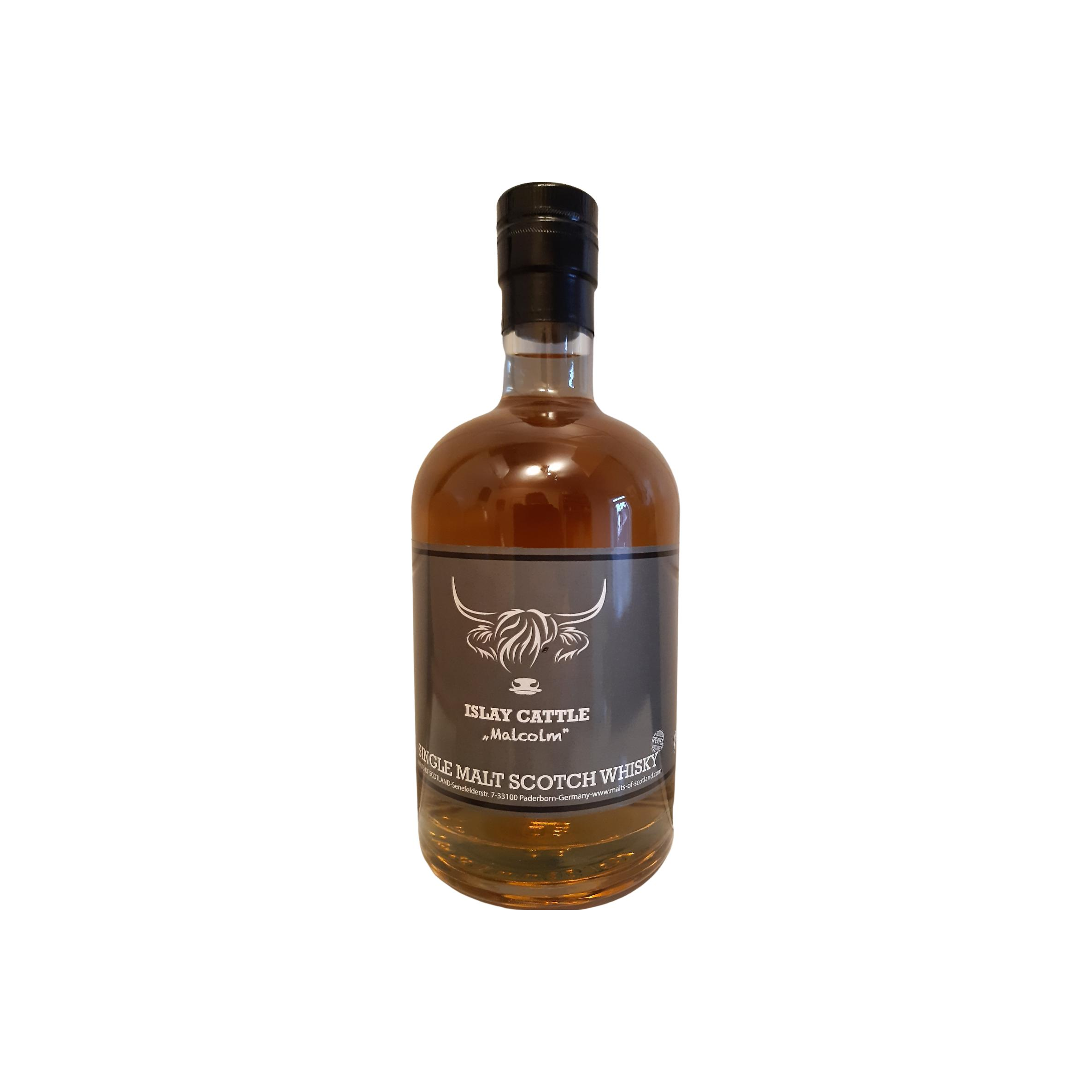 Scotch Cattles Malcolm MoS