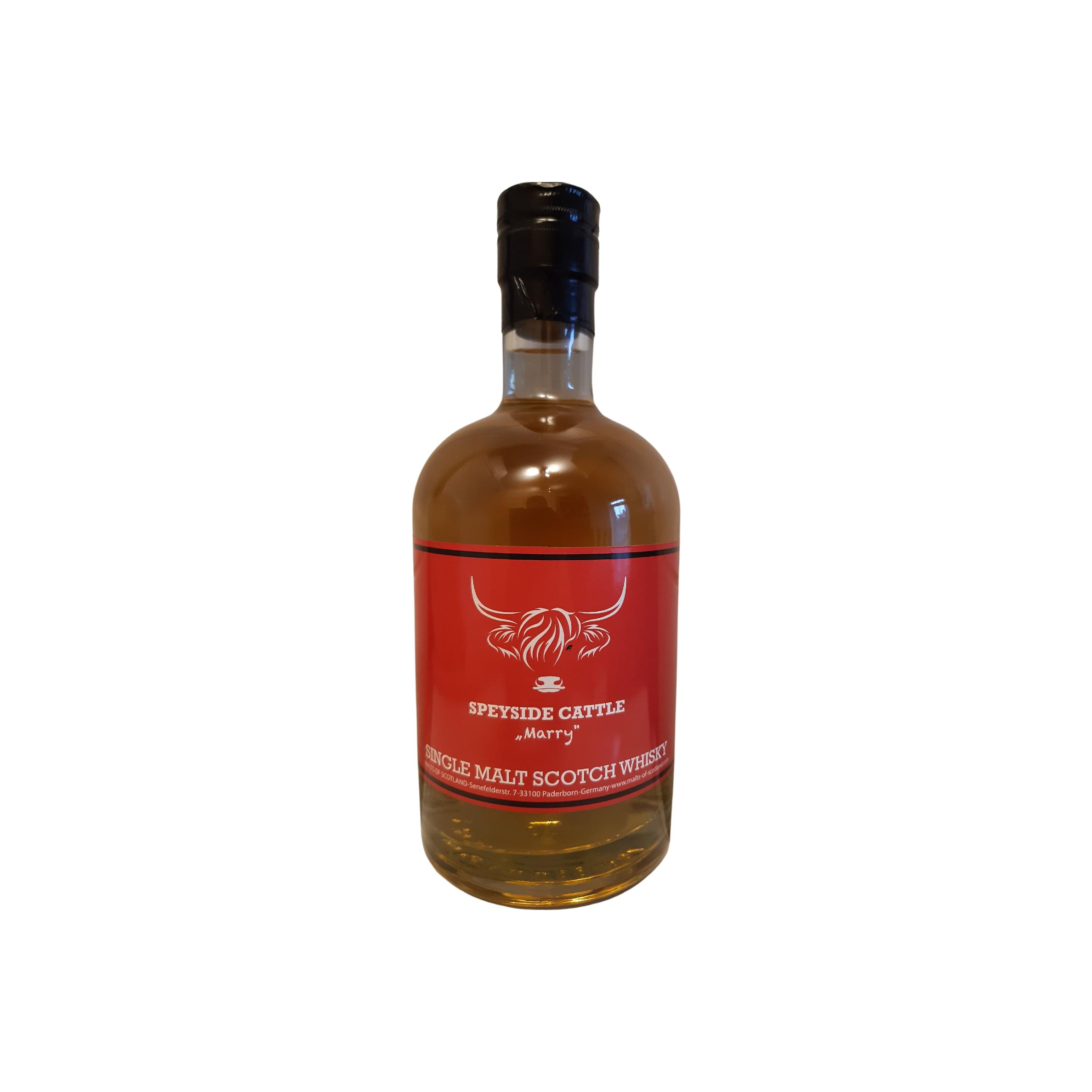 Scotch Cattles Marry MoS